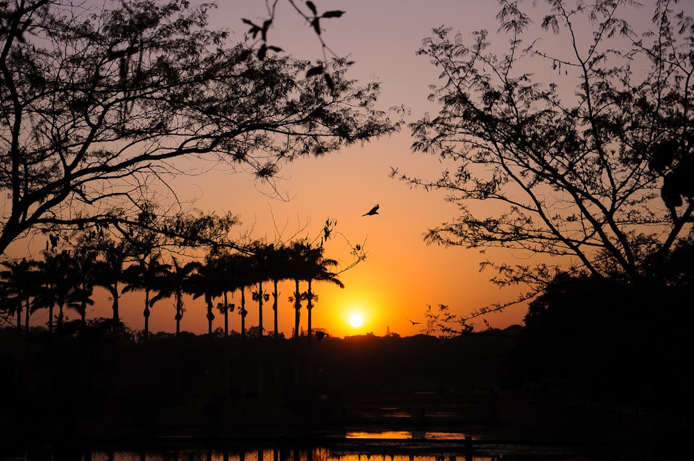 the sun is setting in the distance behind some trees