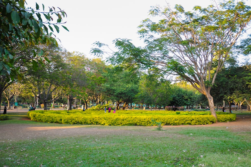 a circular garden with trees and bushes in a park