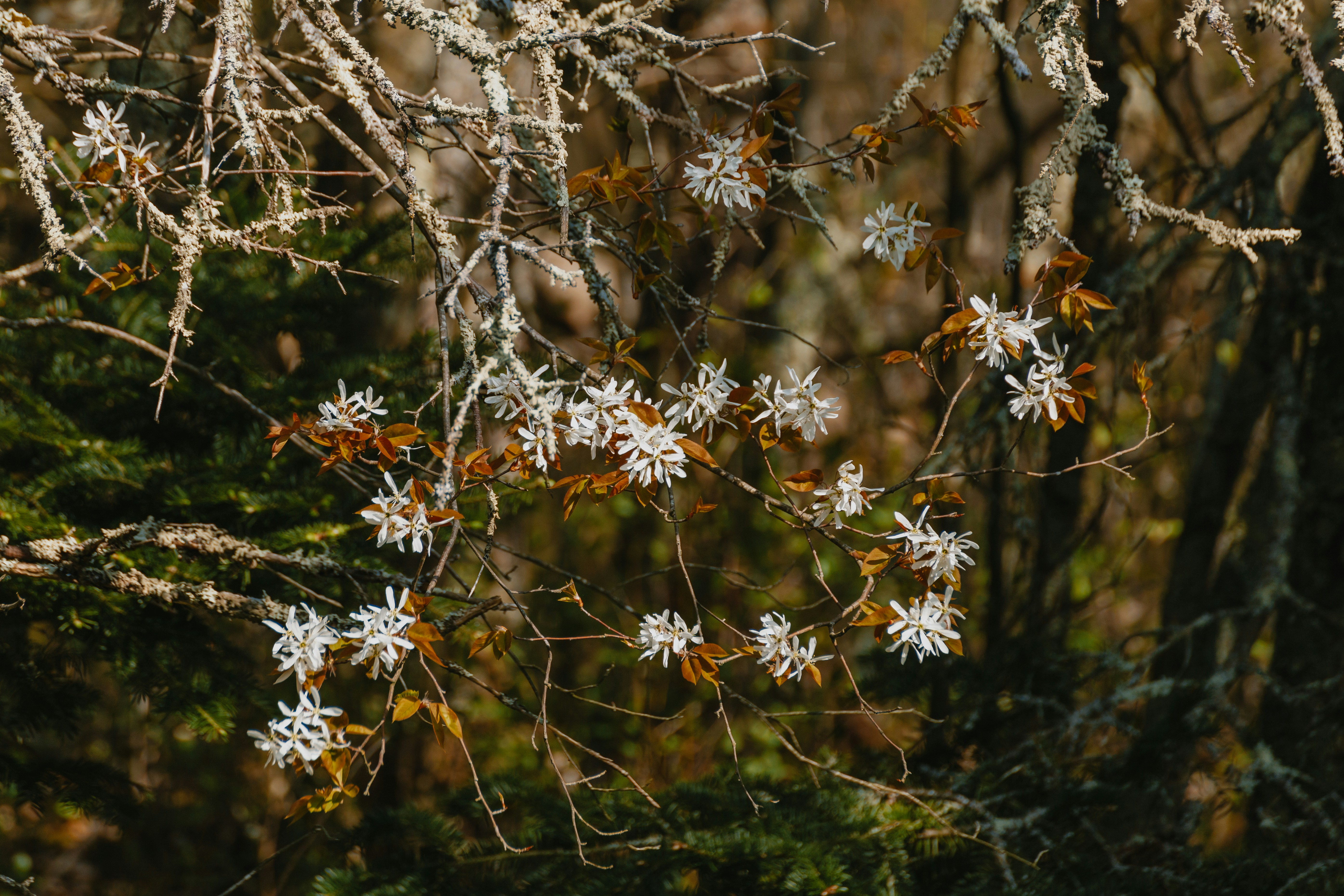 Photo by janwalterluigi