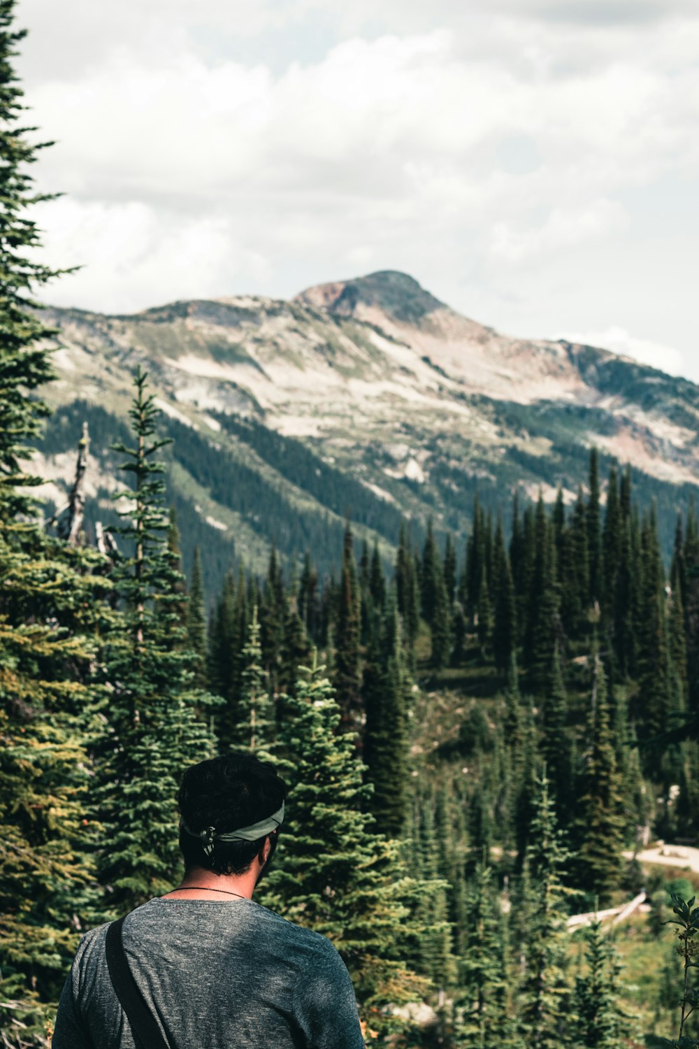 a man standing on top of a lush green hillside