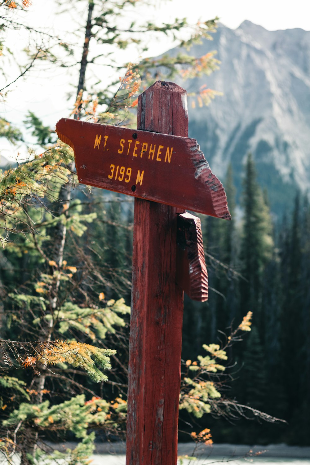 a wooden sign with a mountain in the background