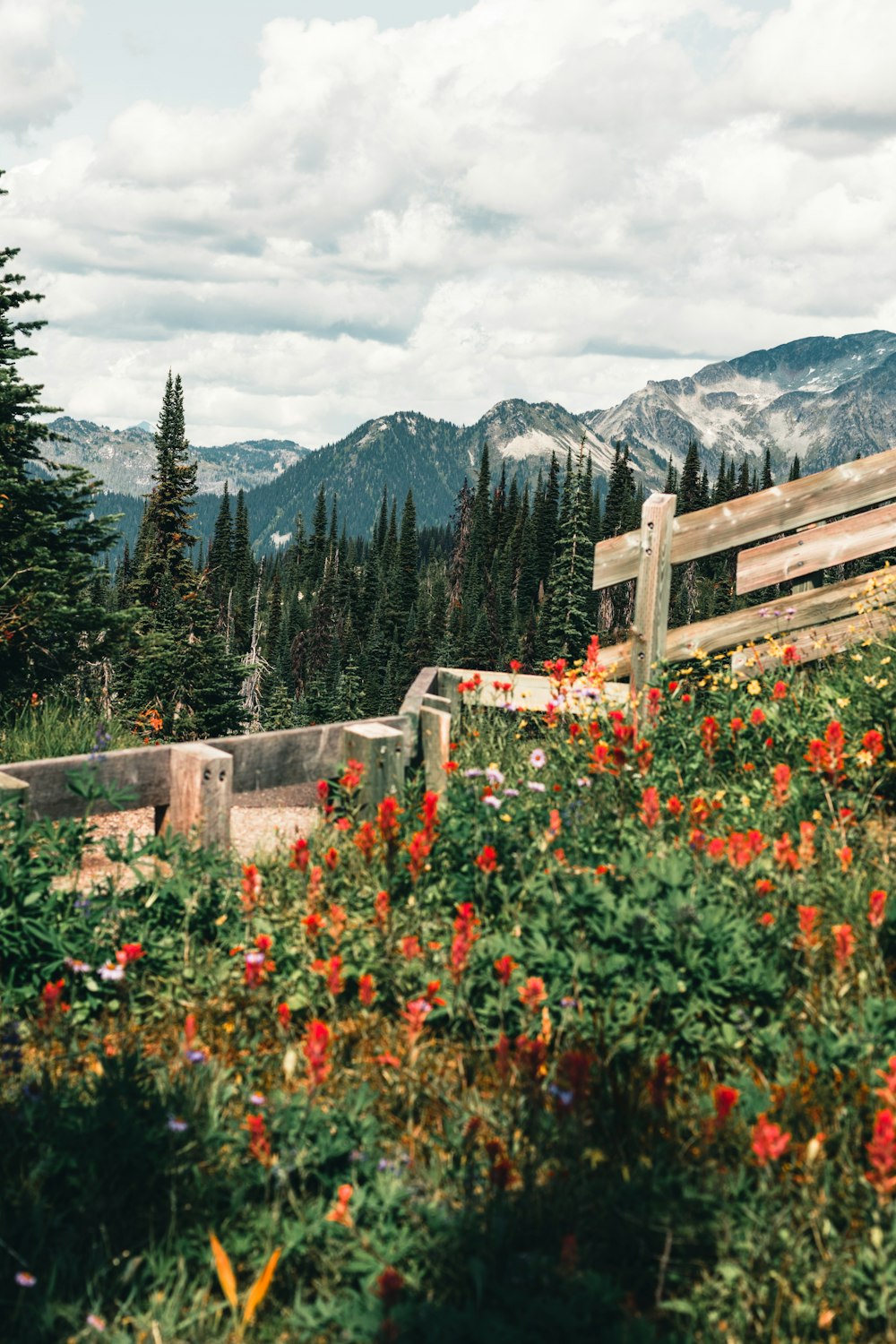 a wooden bench sitting on top of a lush green hillside