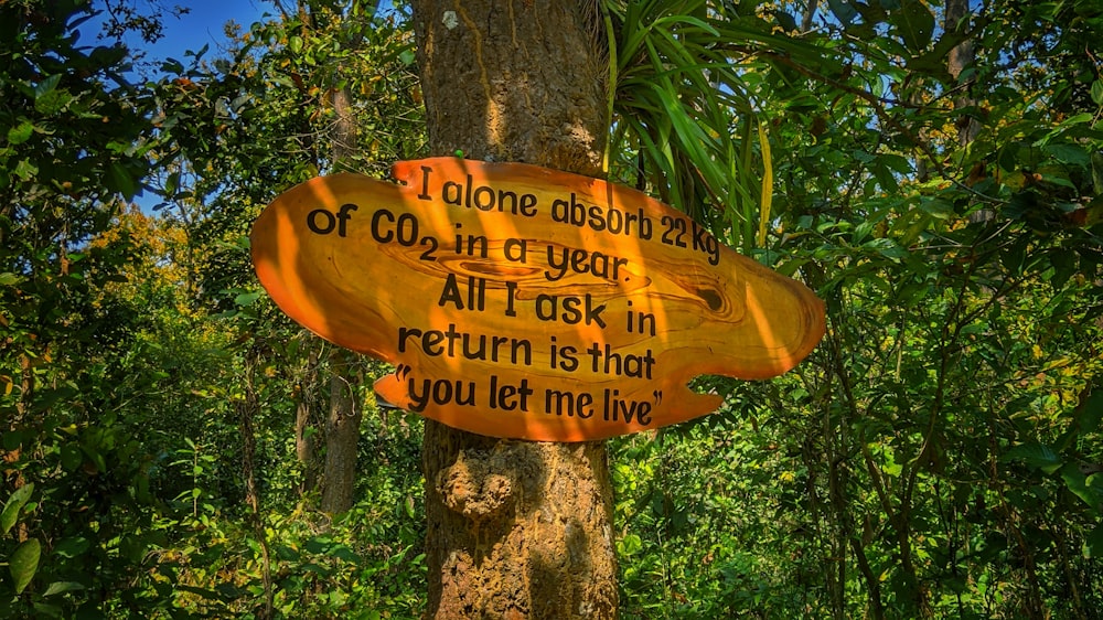 a sign on a tree in the middle of a forest