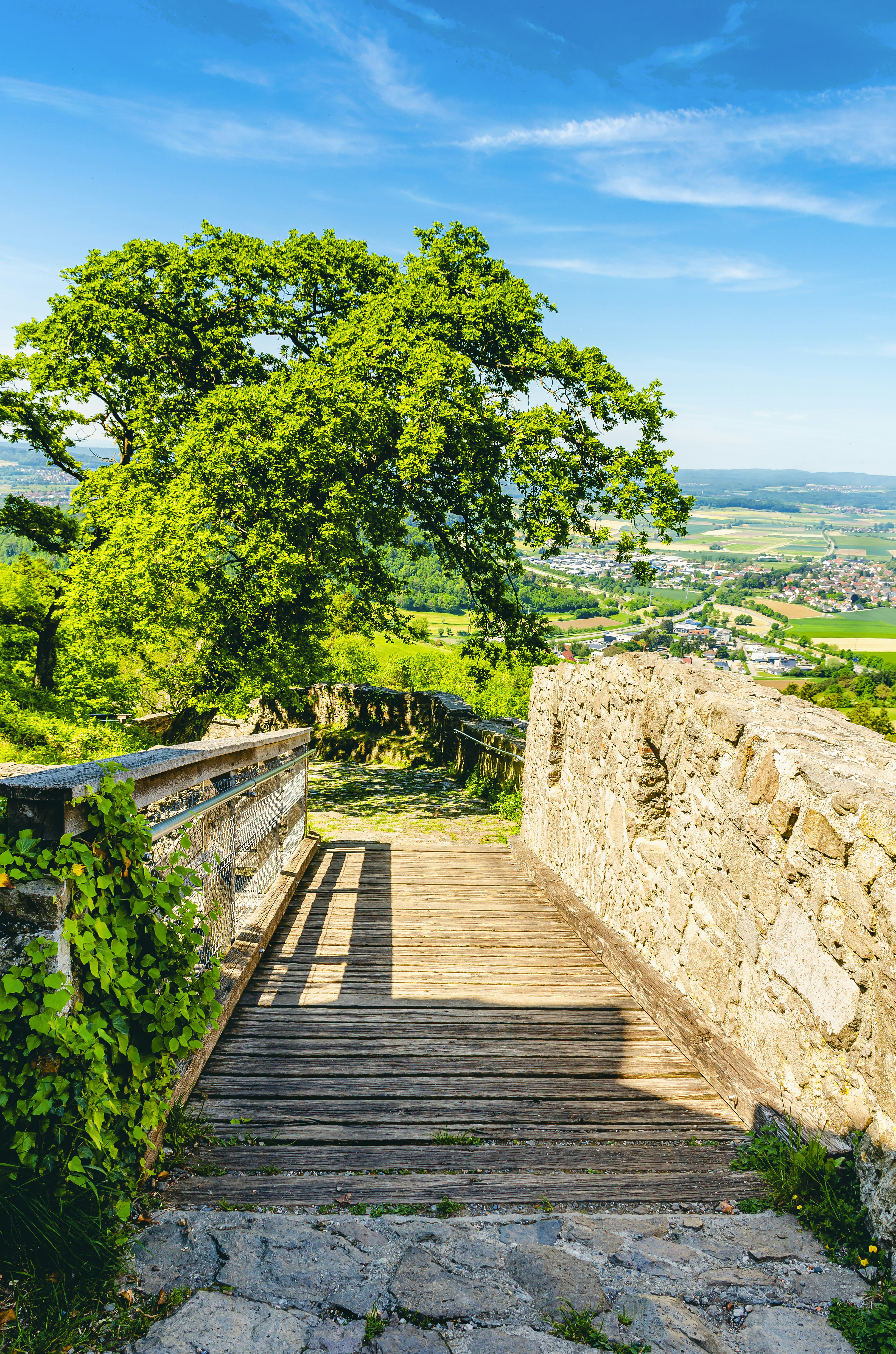 a wooden walkway leading to a lush green hillside