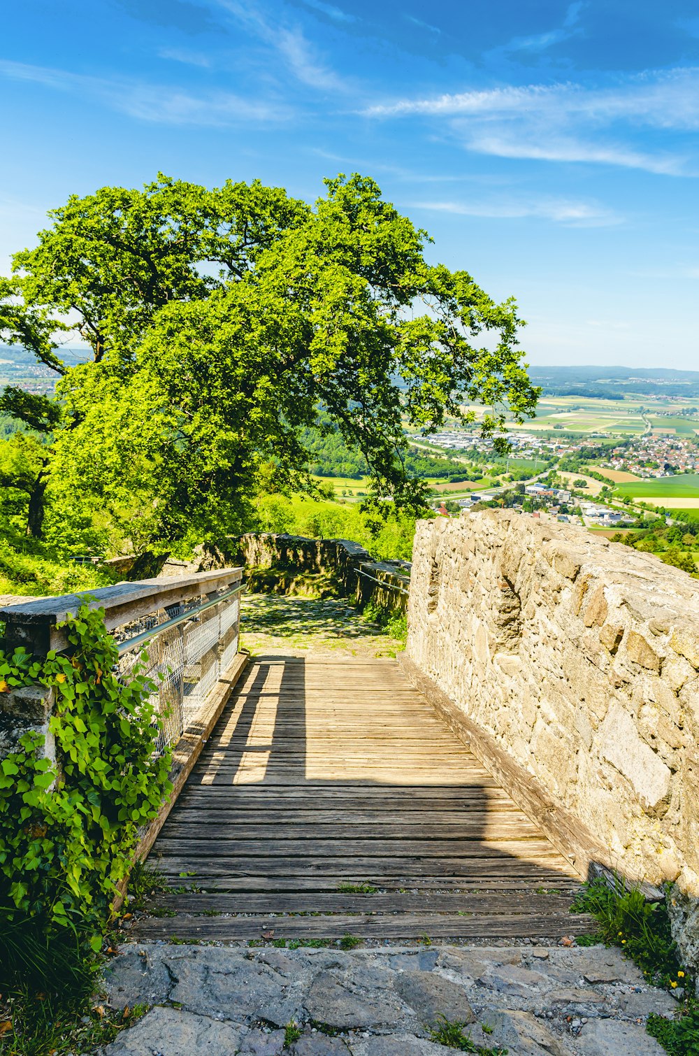 a wooden walkway leading to a lush green hillside