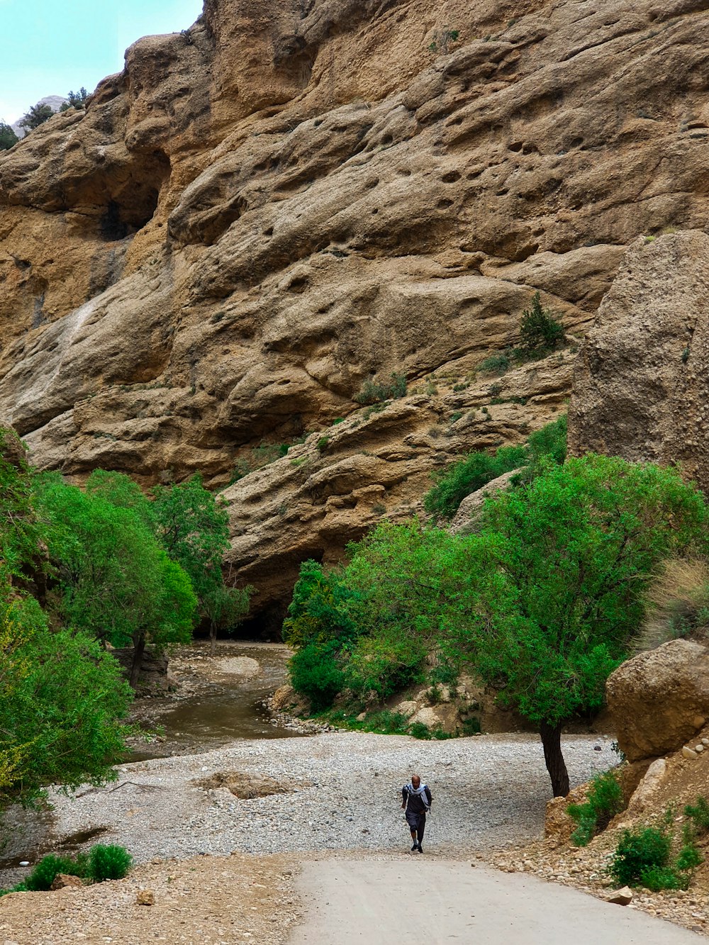 a man walking down a dirt road next to a lush green forest