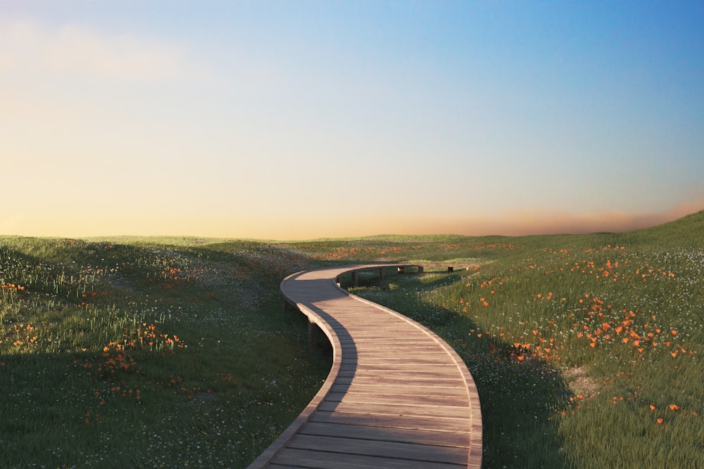 a wooden path going through a grassy field