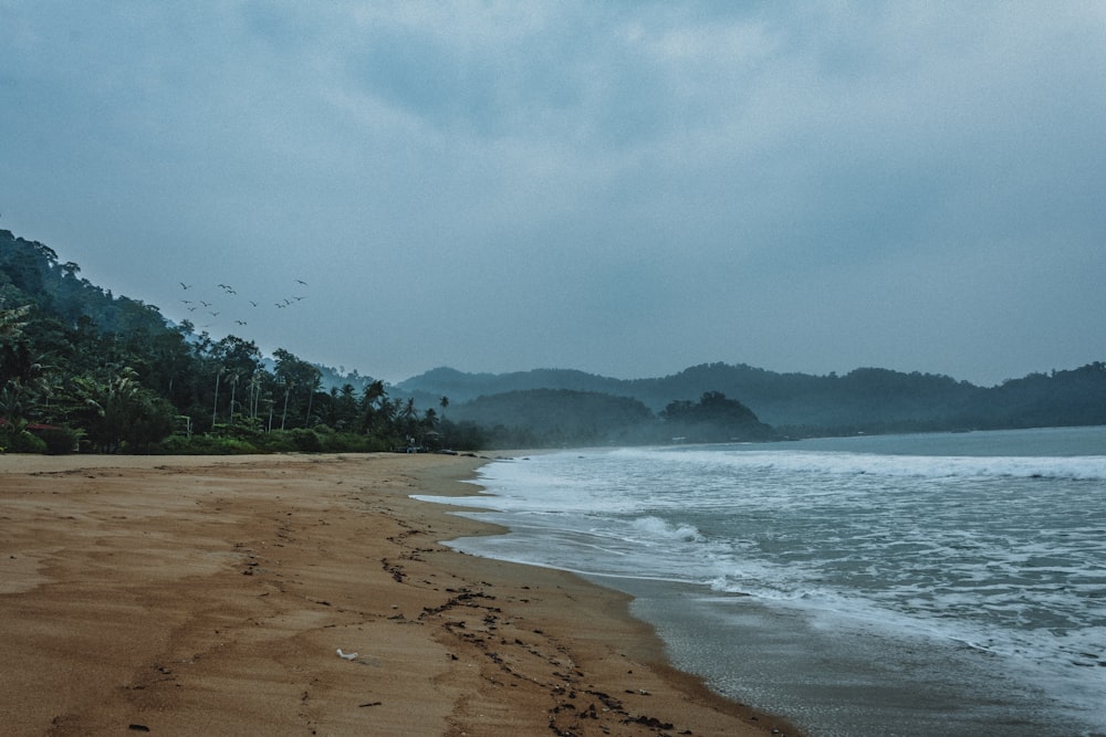 a sandy beach with waves coming in to shore