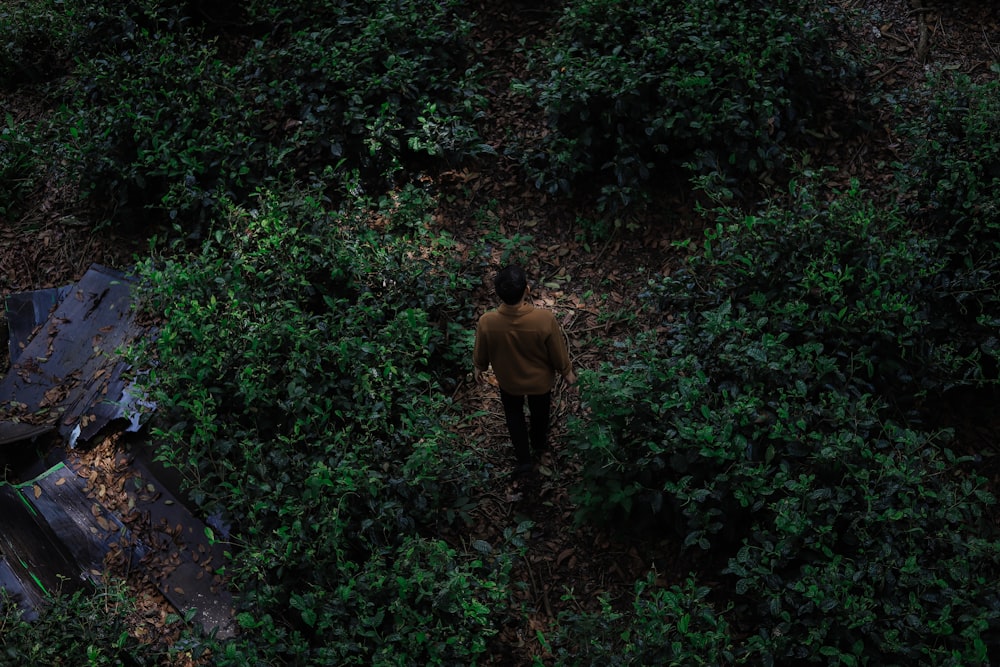 a man walking through a lush green forest