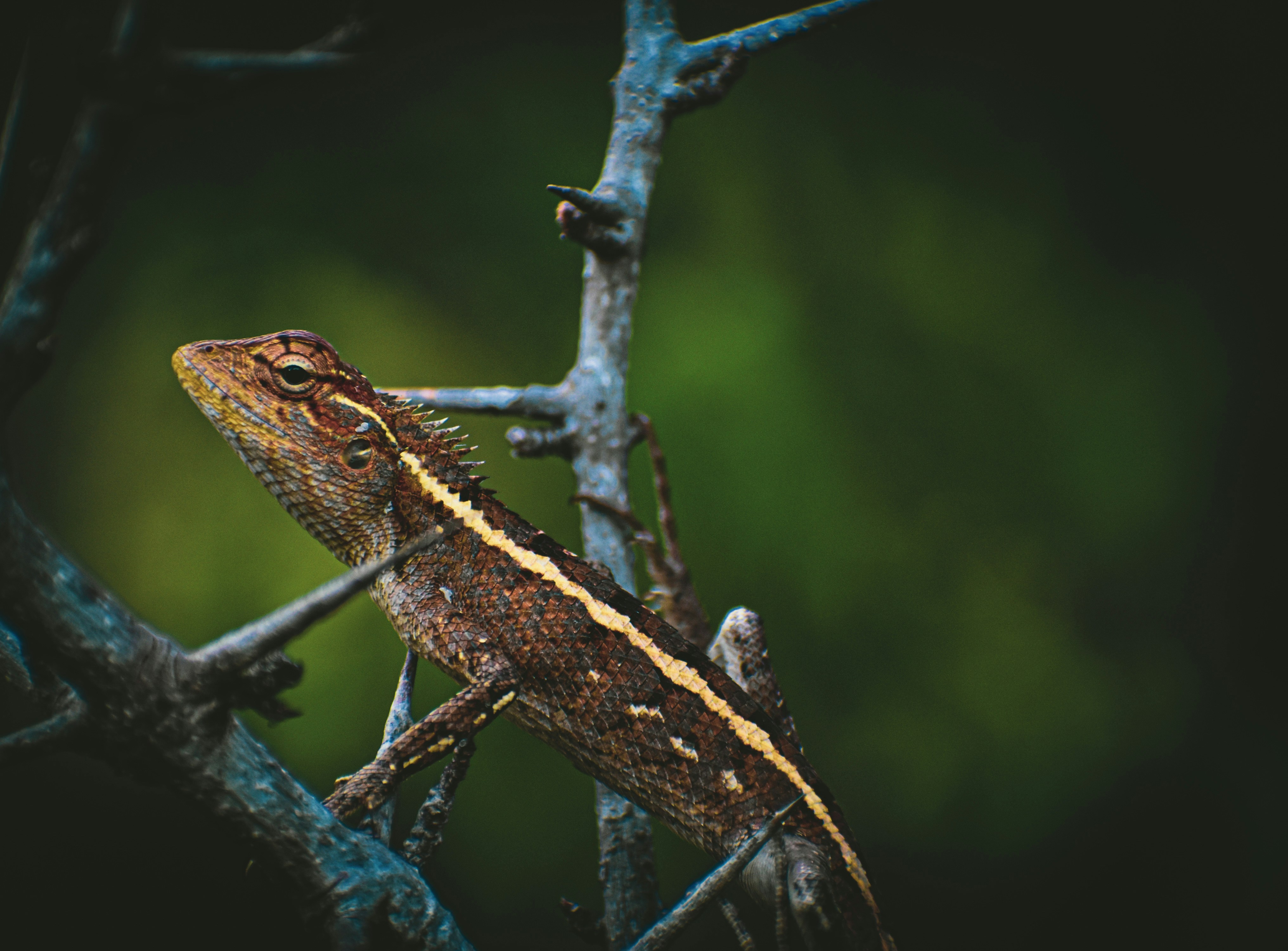 Photo by navi_photography