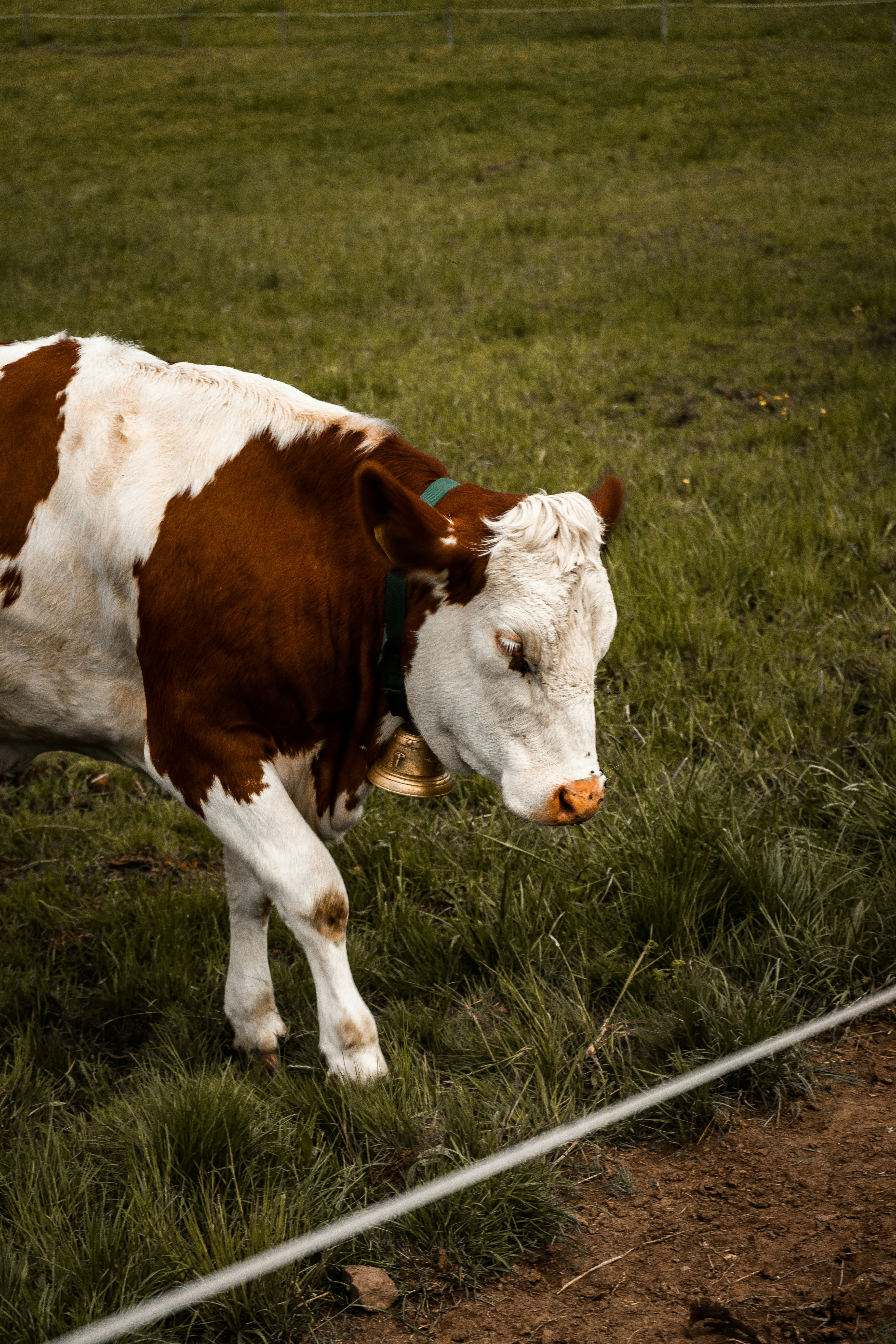 Photo by benjaminmerkle