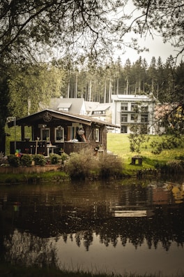 A small wooden cabin is situated near a tranquil pond, surrounded by lush greenery and trees. In the background, modern houses are visible, contrasting with the rustic cabin. The scene is framed by overhanging branches, adding to the natural, serene atmosphere.