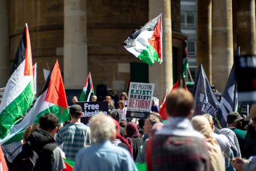 a large group of people holding flags and signs