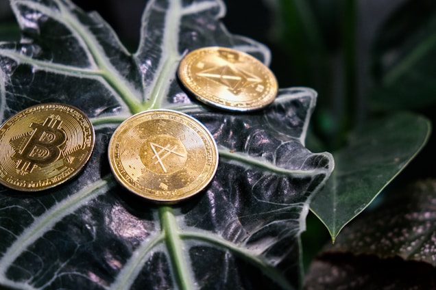 Three gold coins with cryptocurrency symbols rest on a large, dark green leaf with prominent white veins. The coins display distinct designs representing different digital currencies.