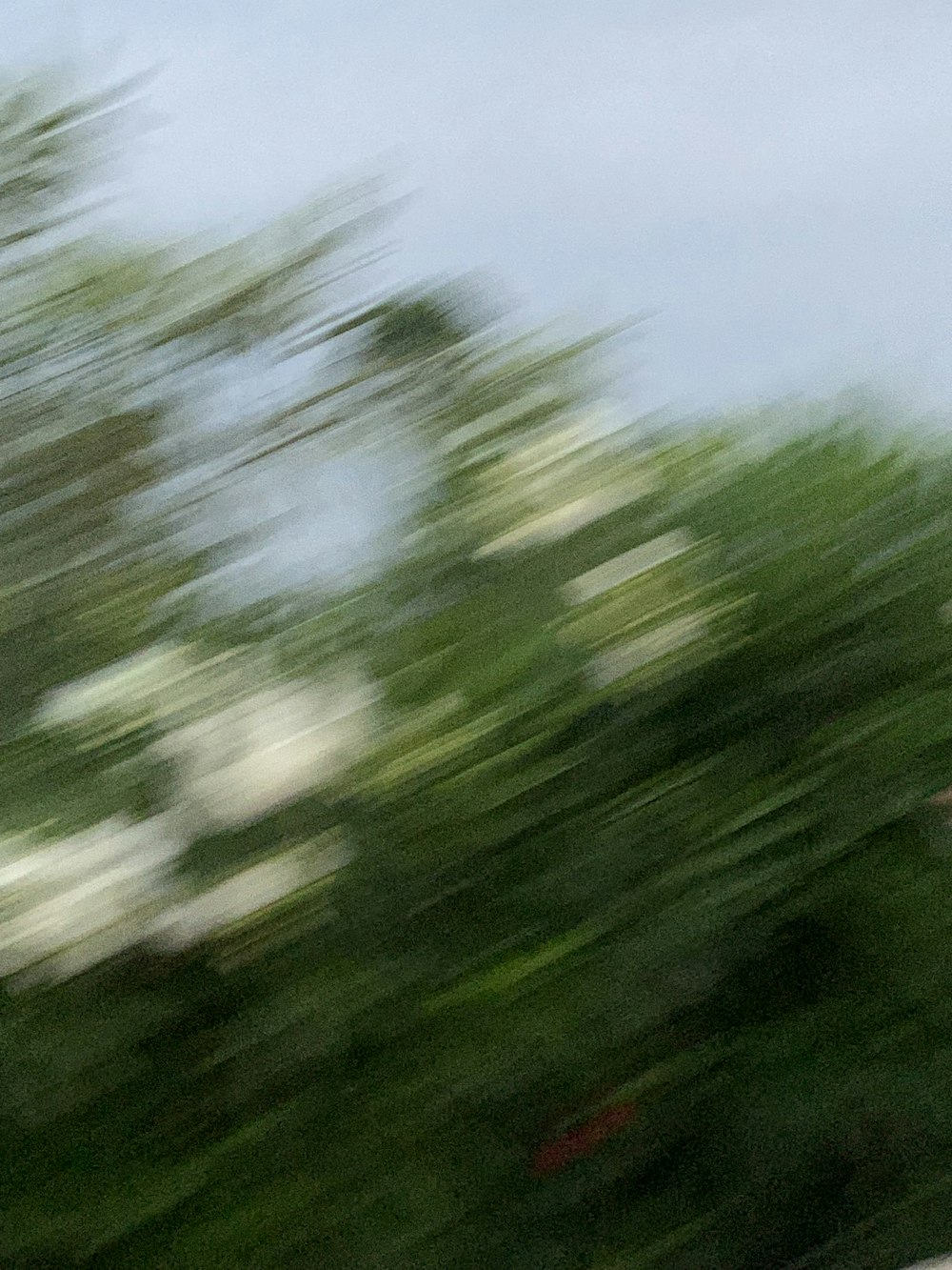 a blurry photo of a person riding a skateboard