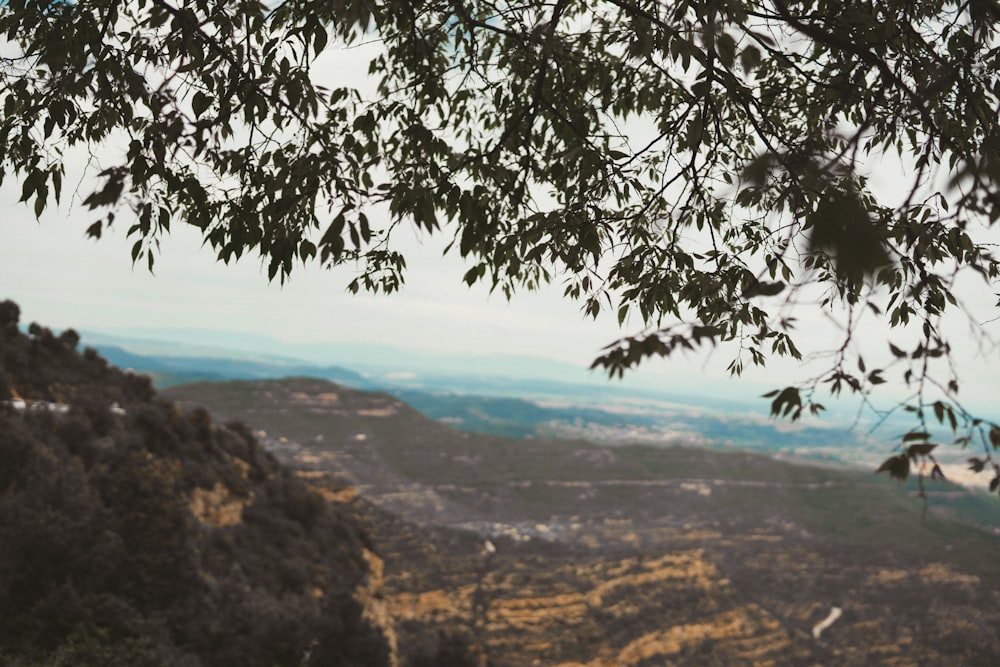 a view of a valley from a hill top