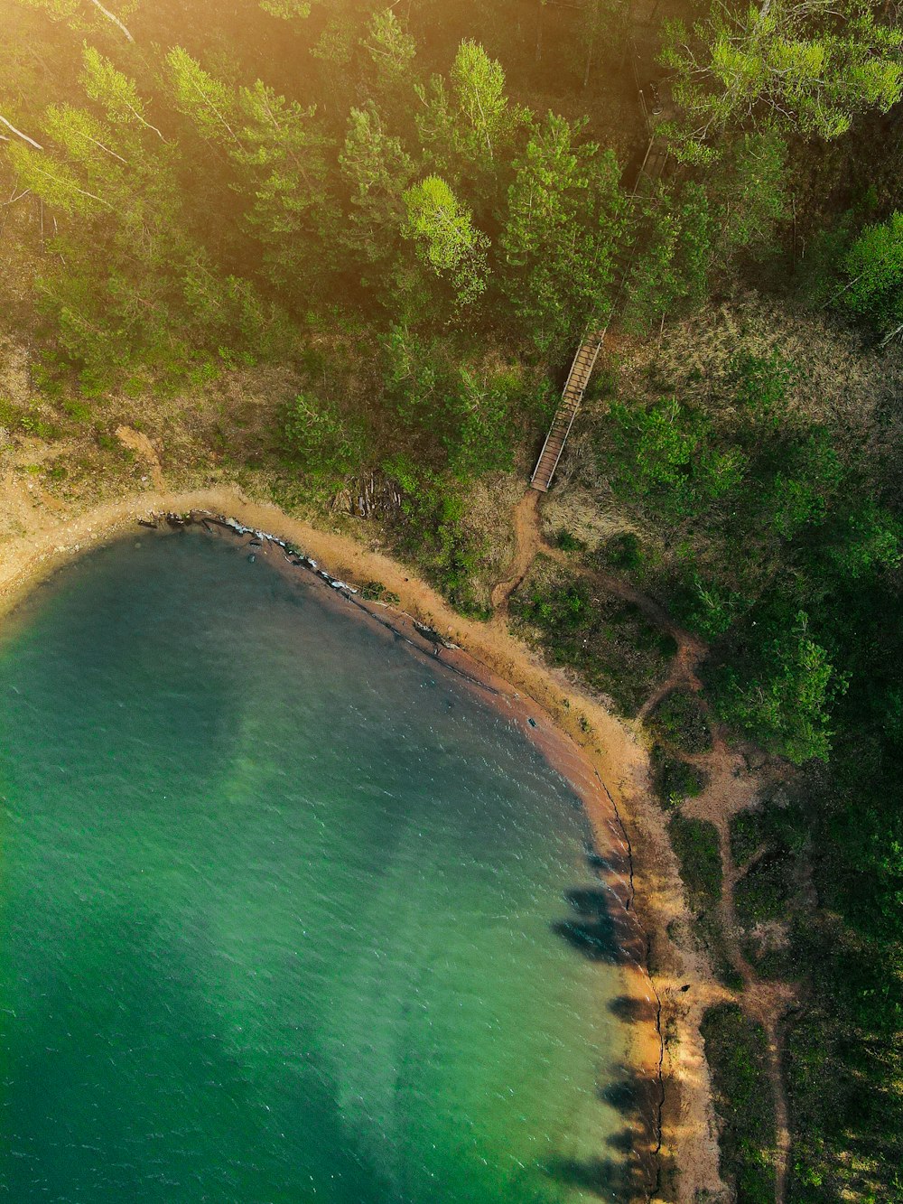 a large body of water surrounded by trees