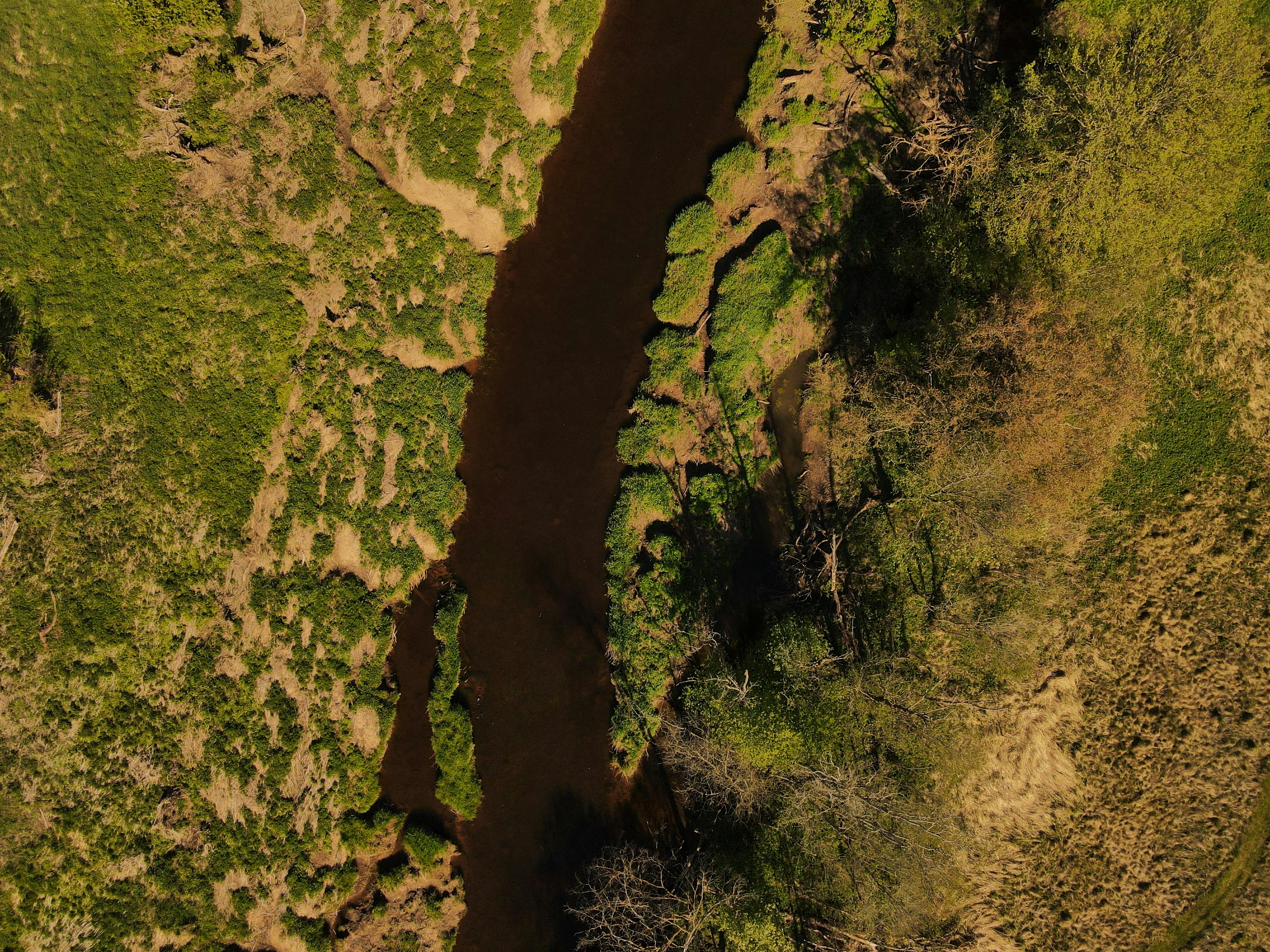 Photo by christina_kozak