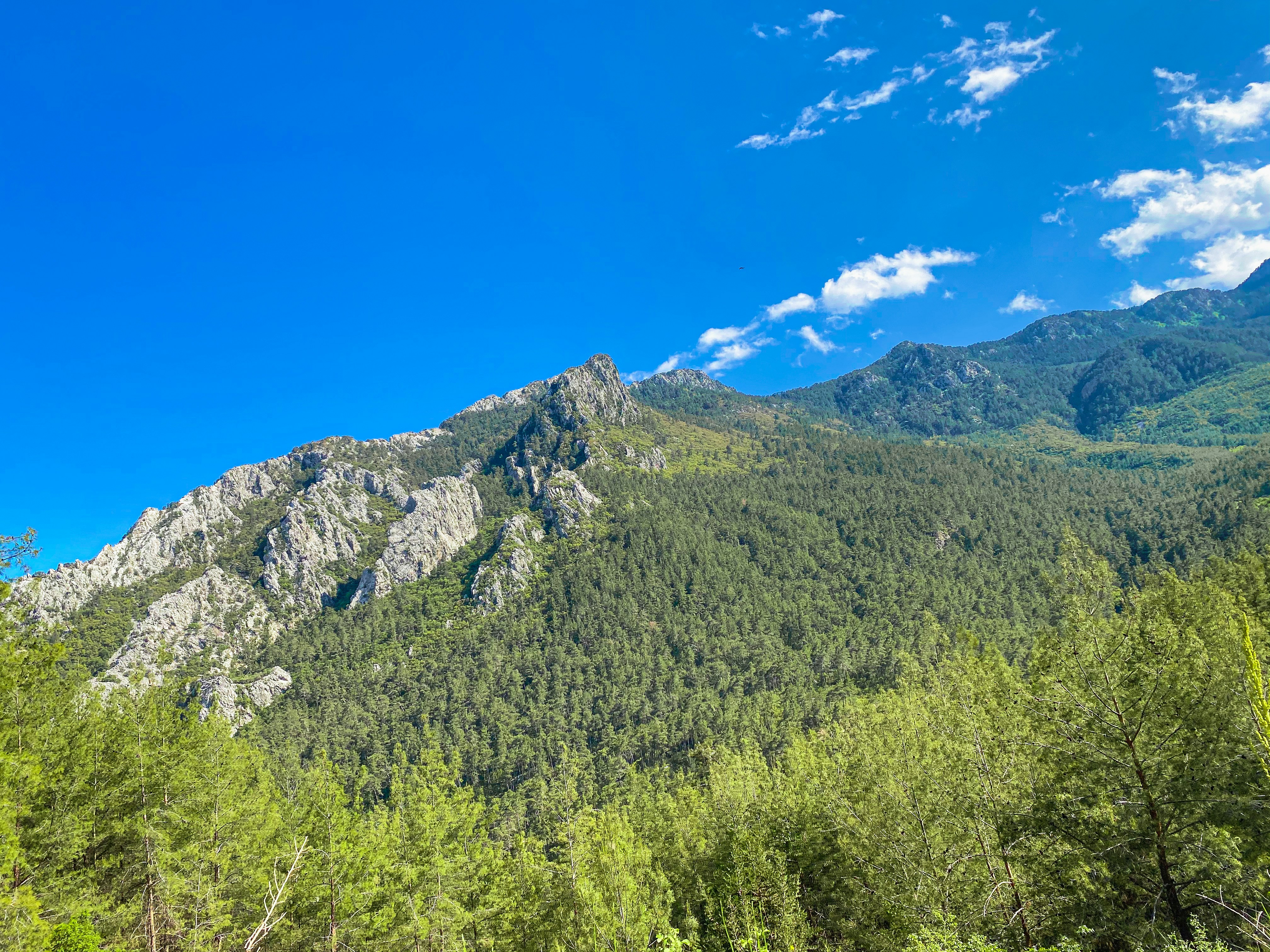 Photo by your_scorpion