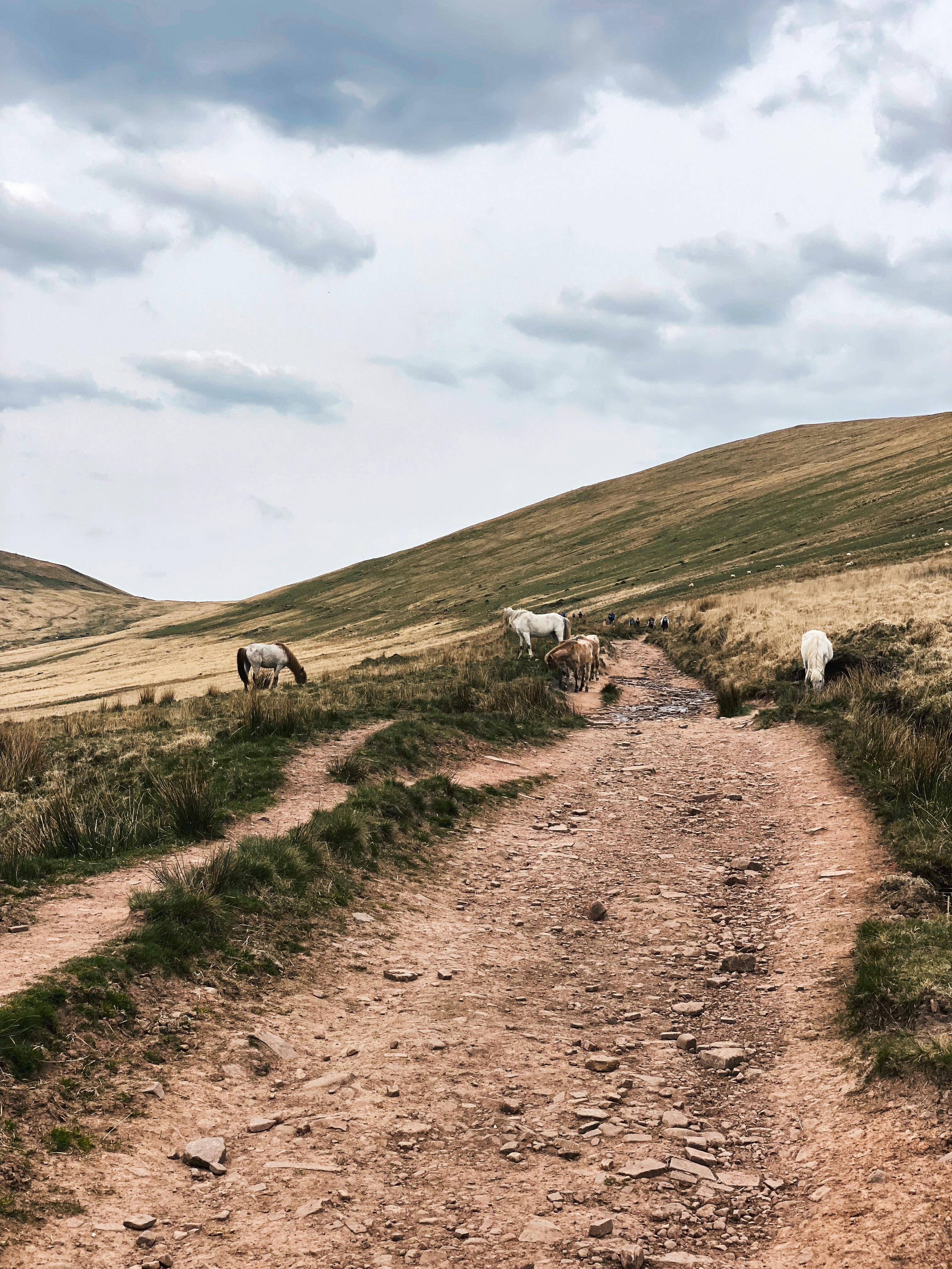 Photo by christiearnoldfilm