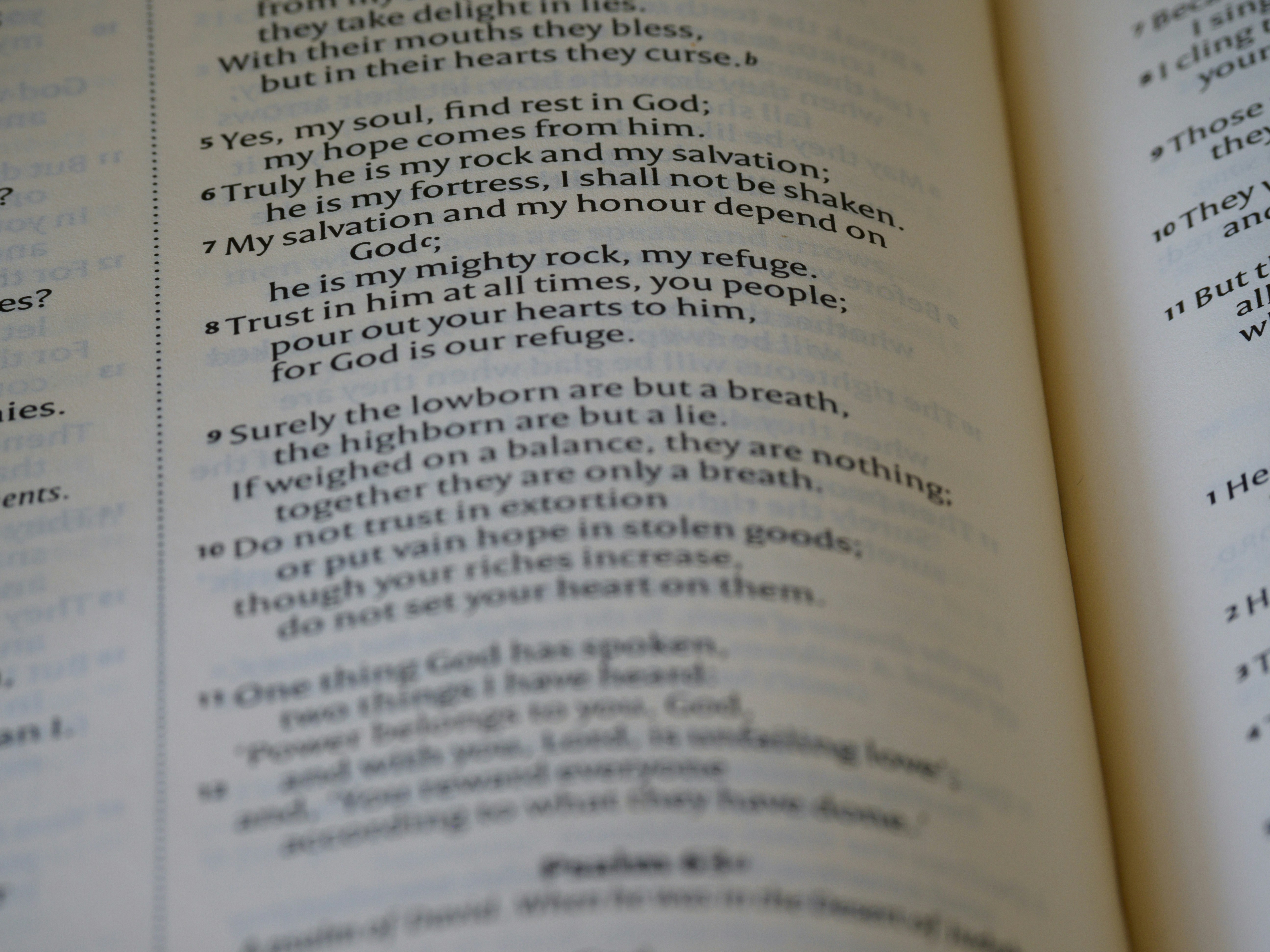 Photo by brett_jordan