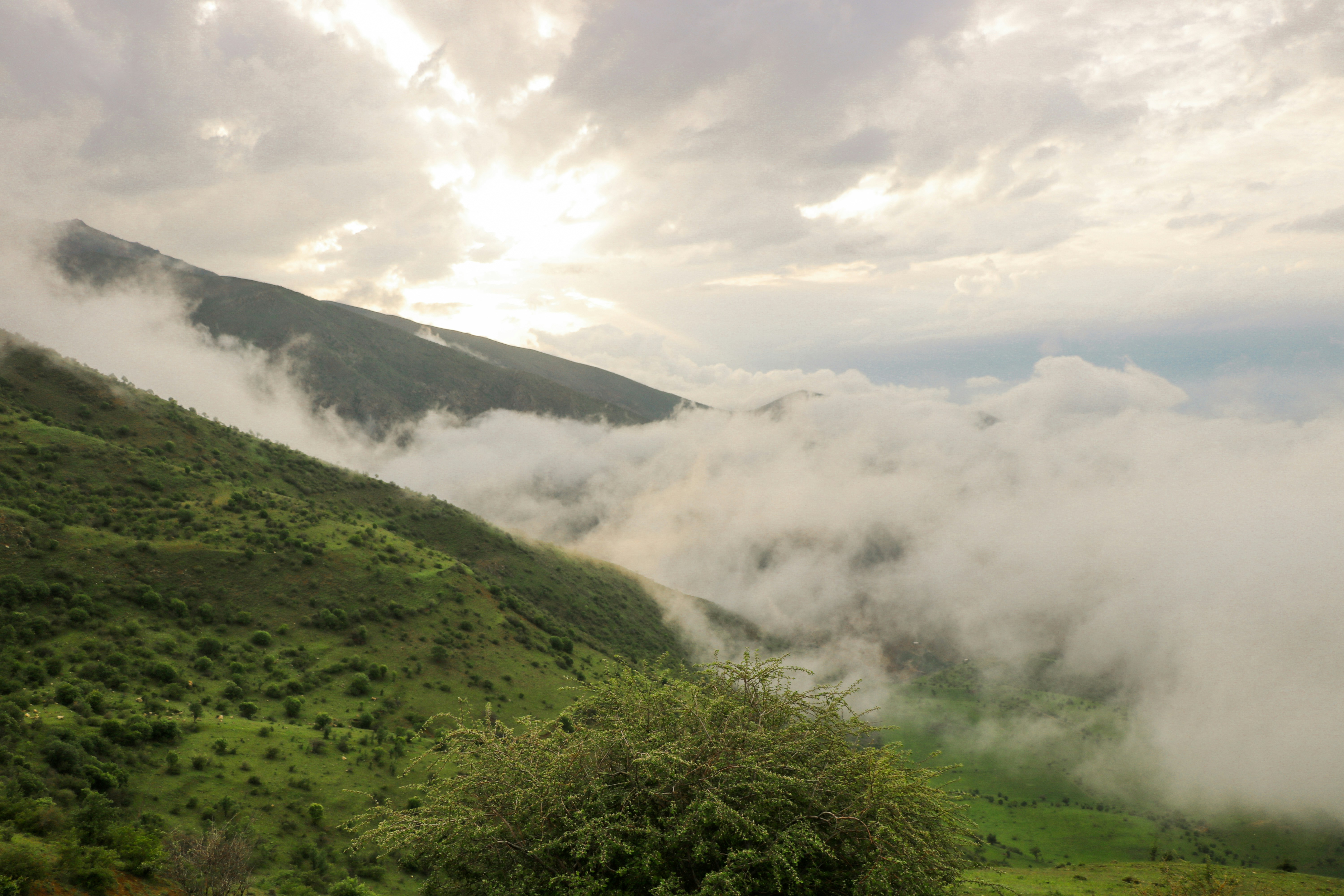 Photo by janakarbasi