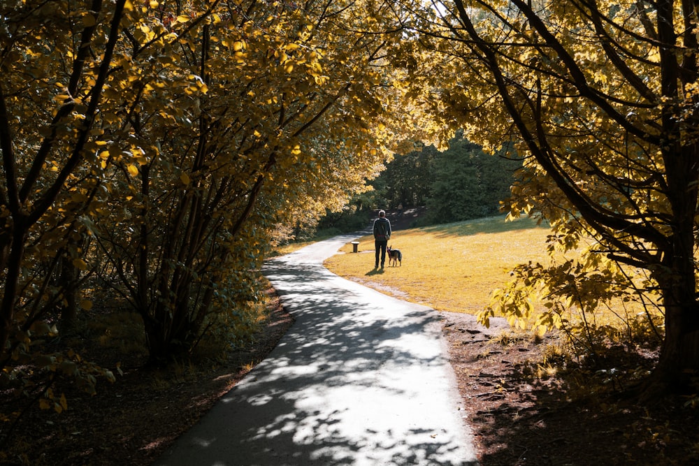 a person walking a dog on a path in the woods