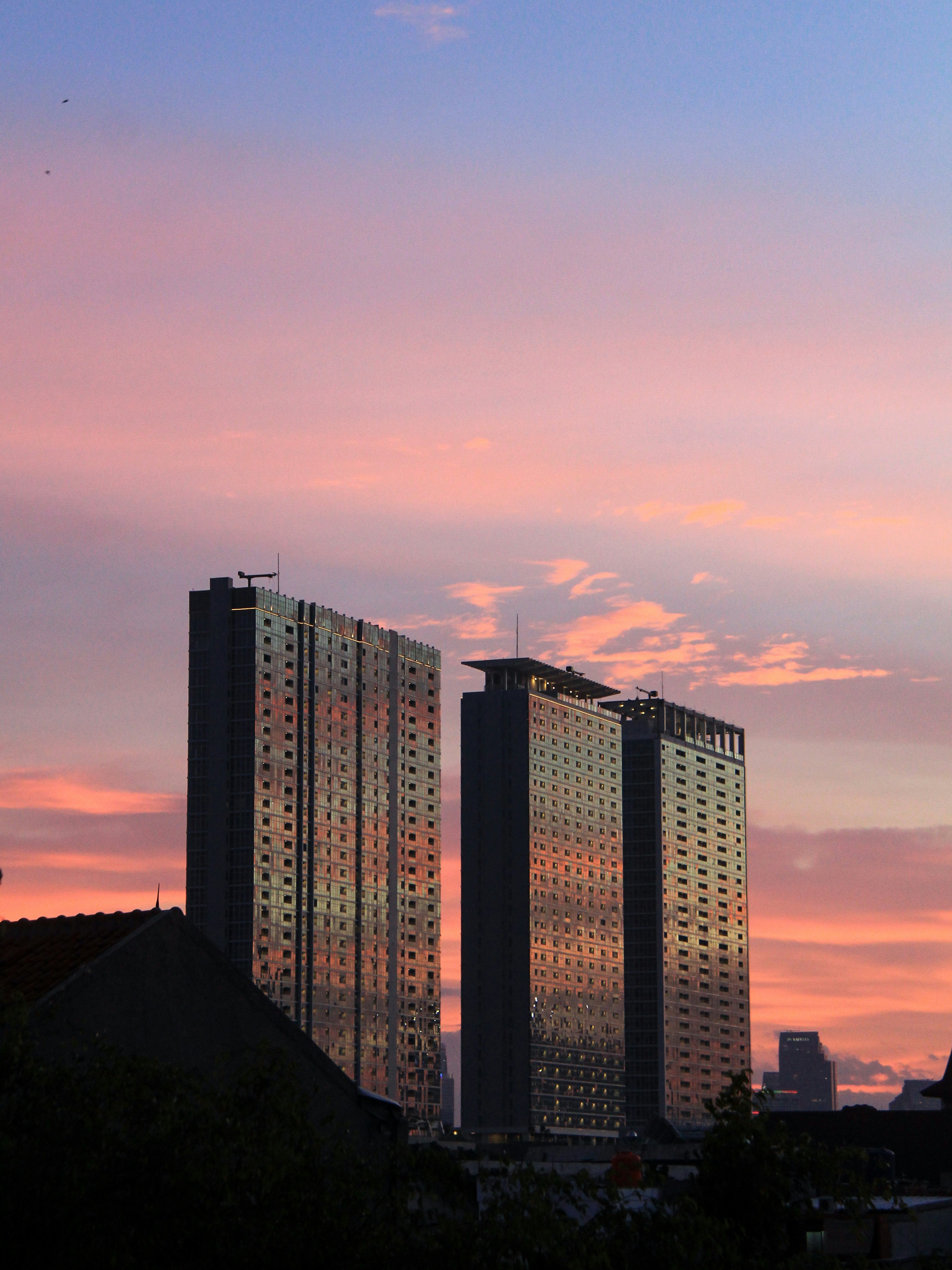 Photo by dhiogandhi23