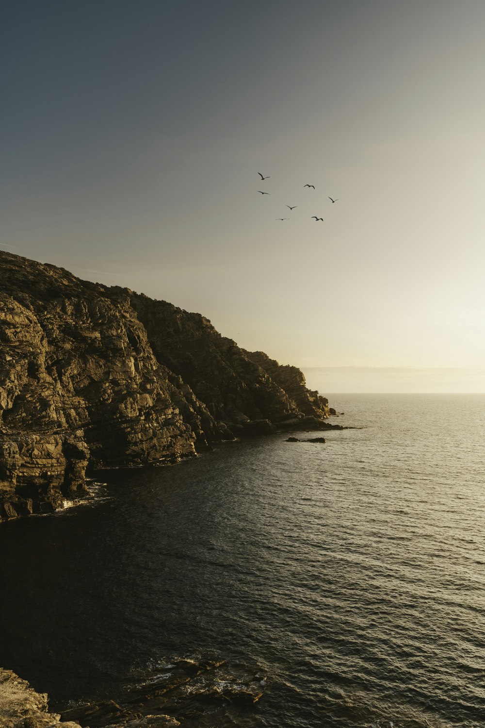 birds flying over the water at the edge of a cliff