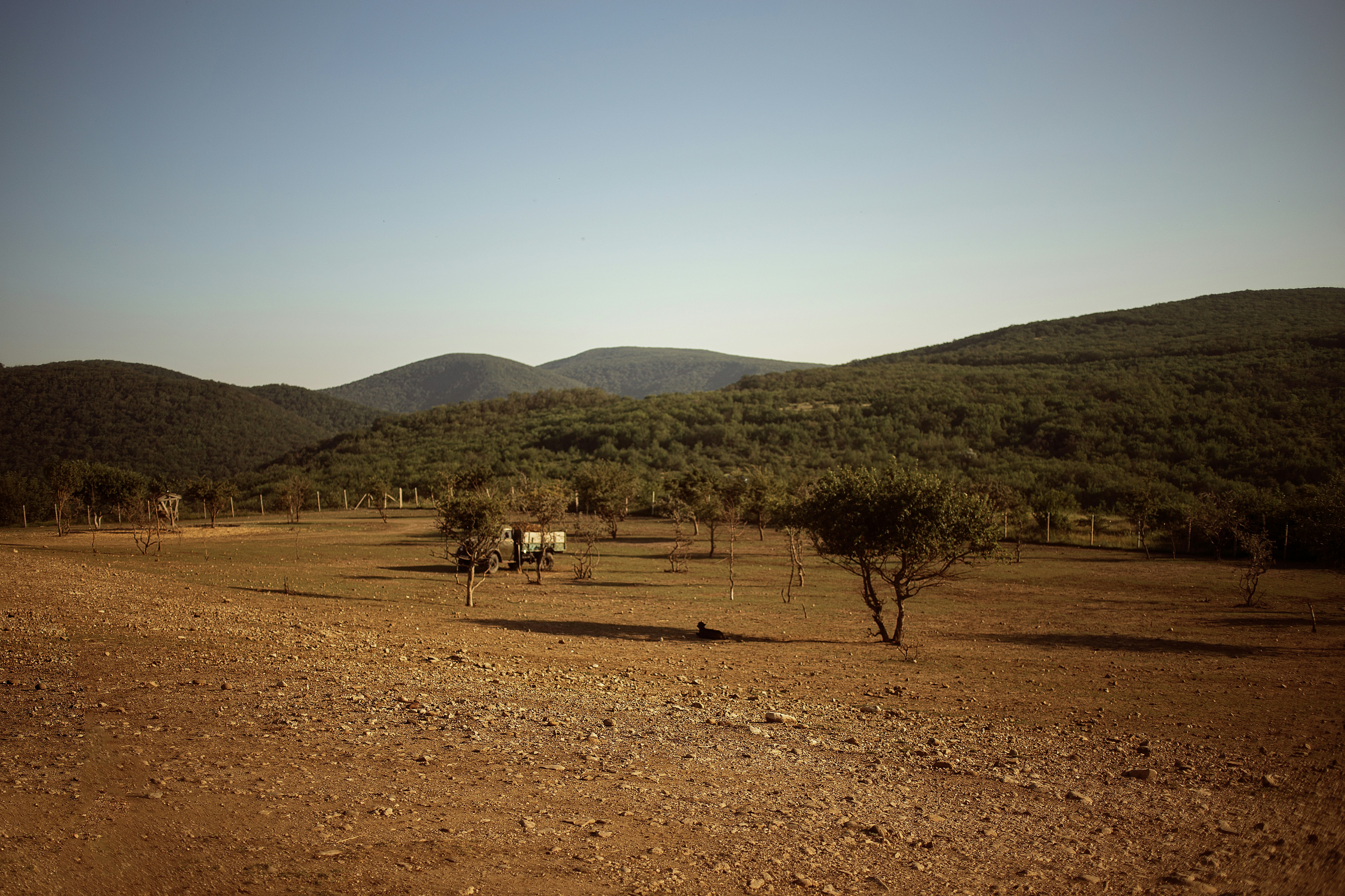 a dirt field with a few trees and hills in the background