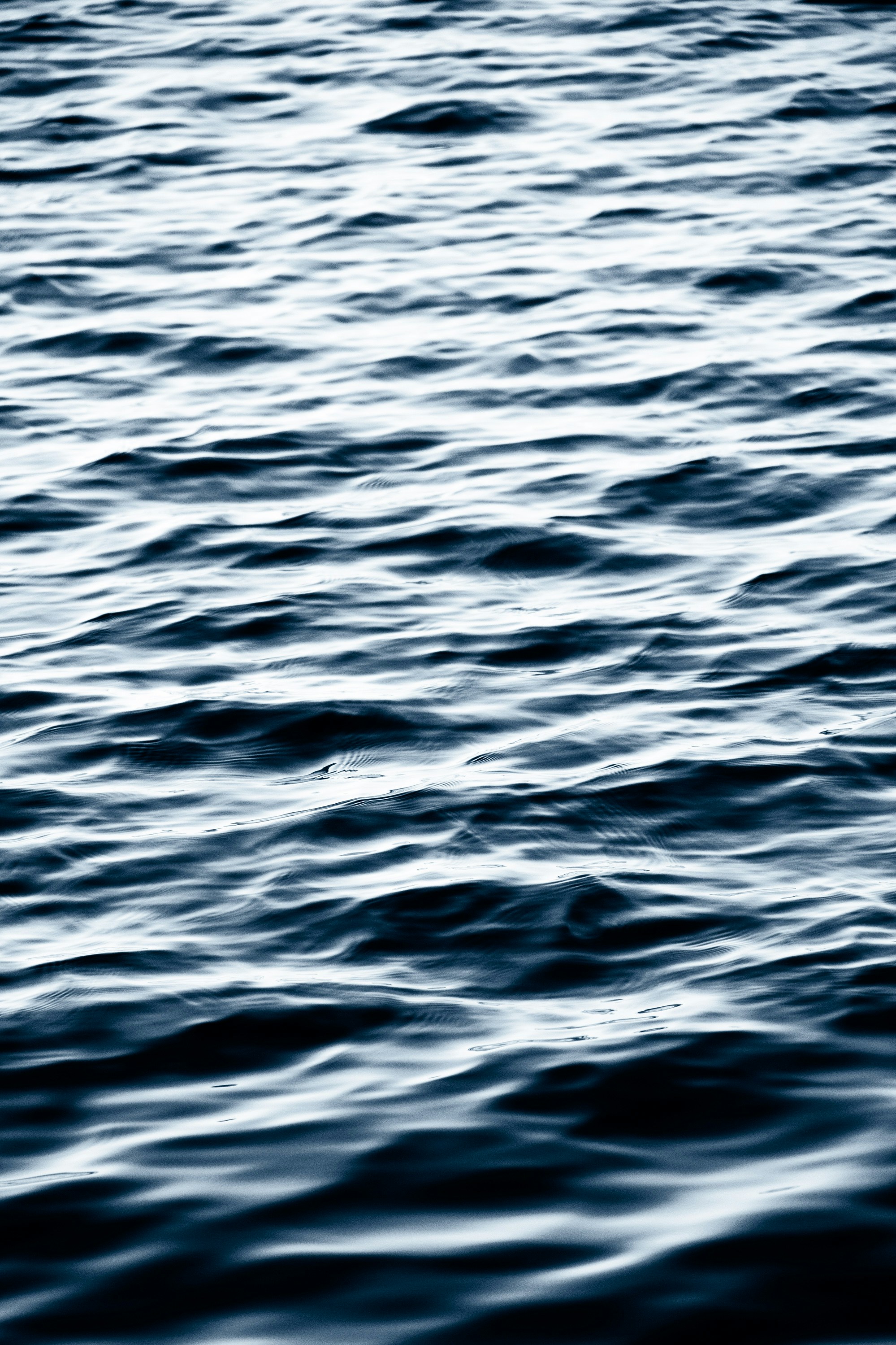 Photo by alexbeholder