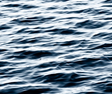 a black and white photo of a body of water