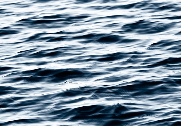 a black and white photo of a body of water