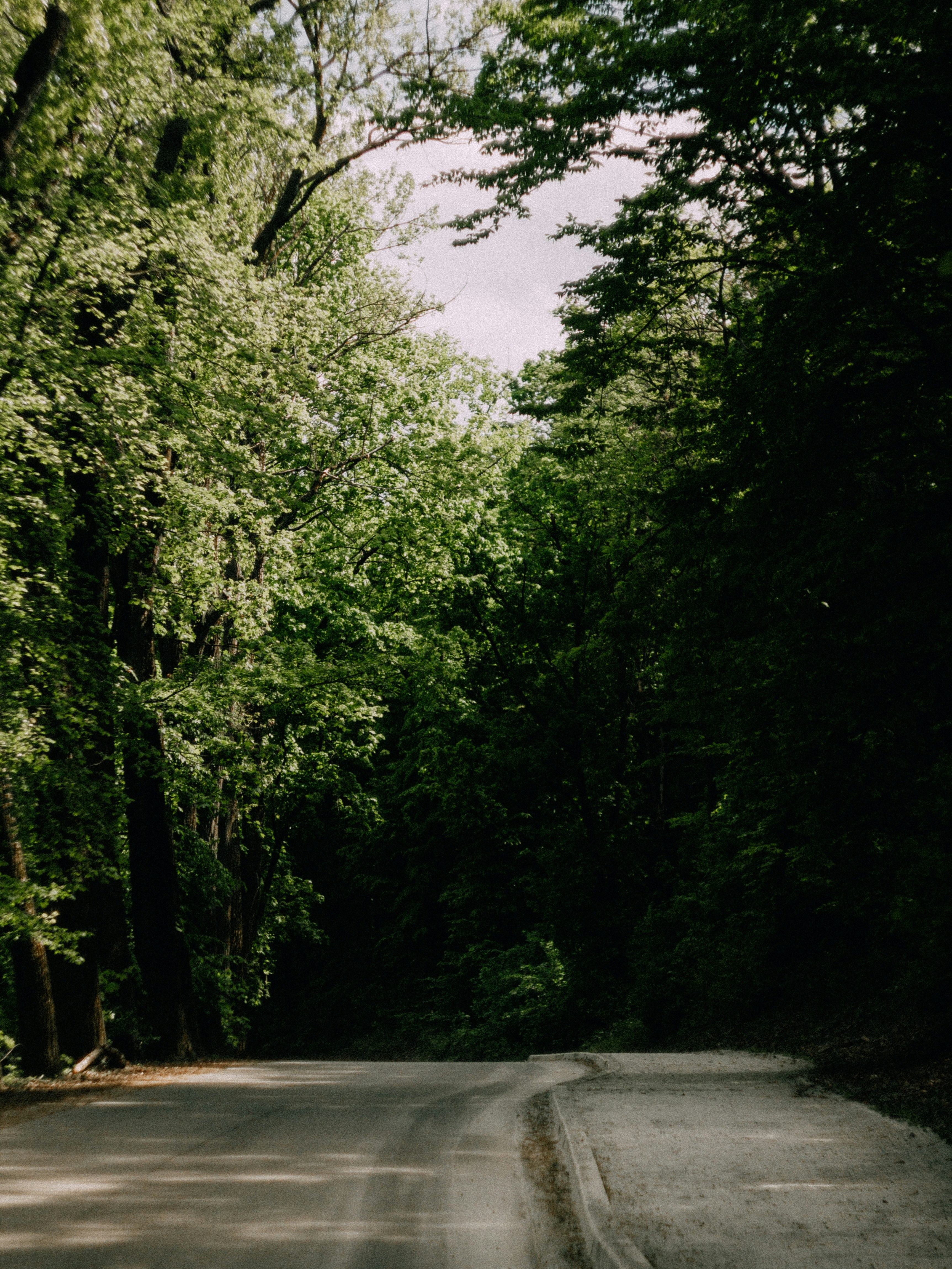 Photo by itsmaxpictures