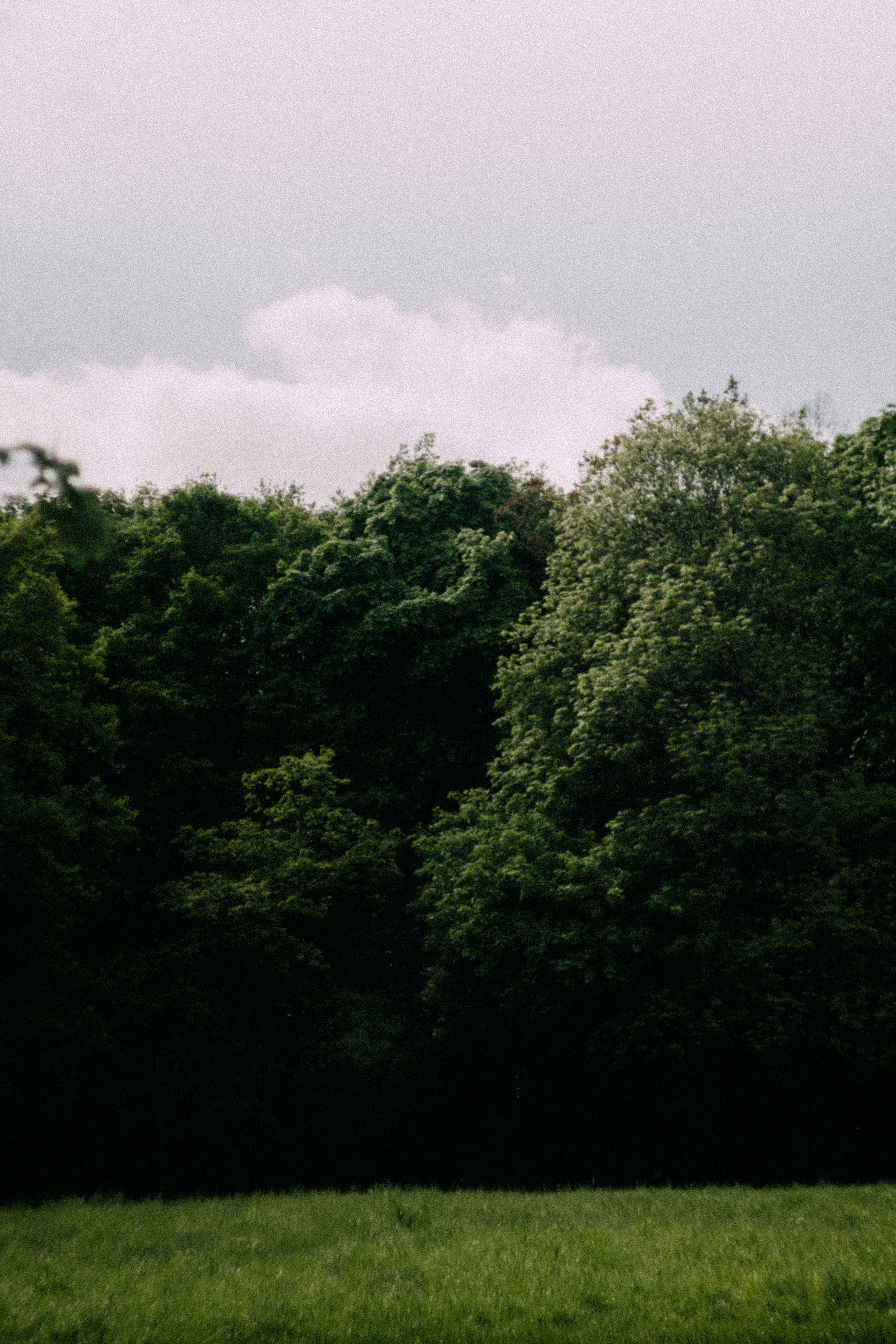 Photo by itsmaxpictures