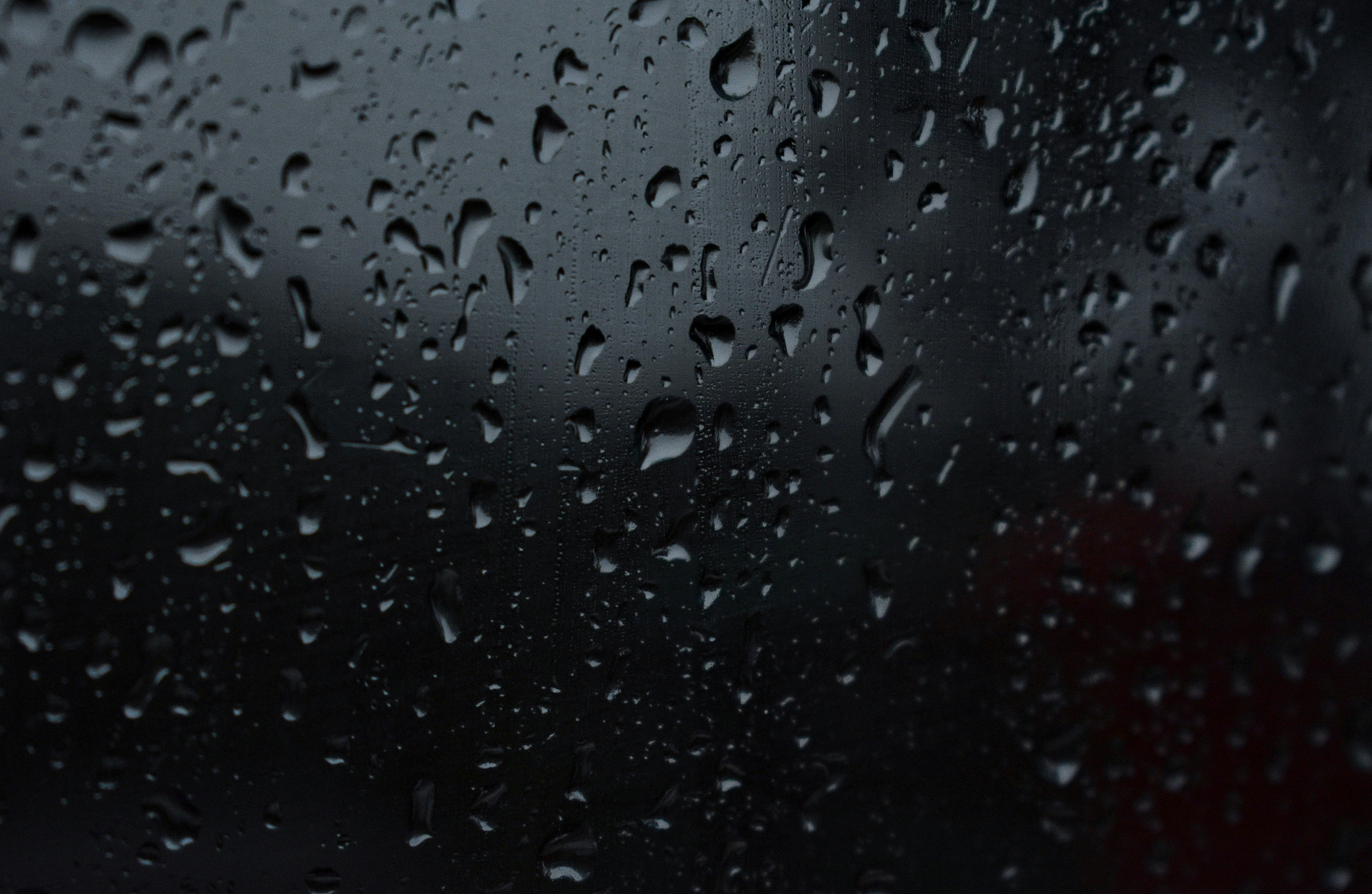 Photo by v_i_s_h_n_u