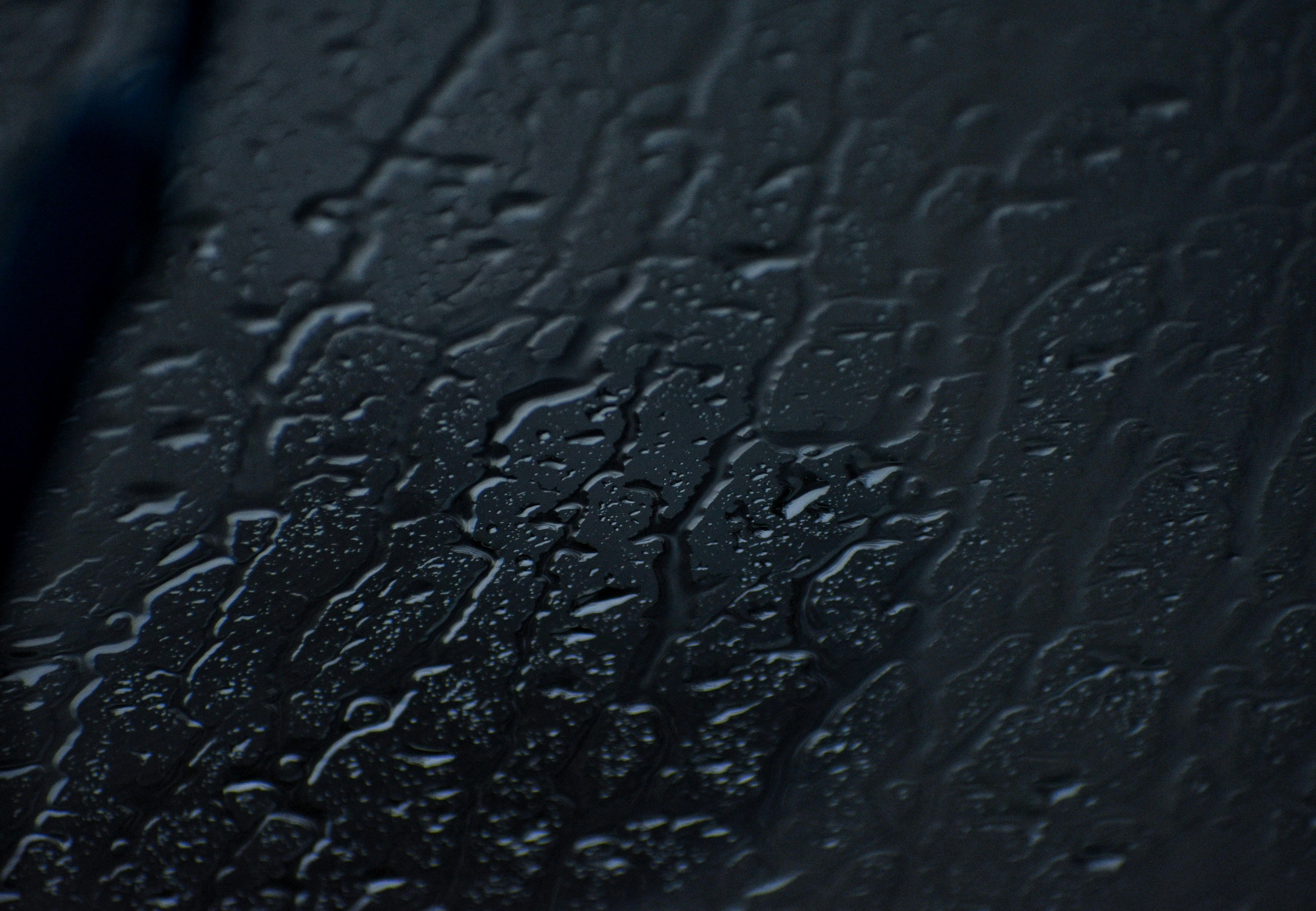 Photo by v_i_s_h_n_u