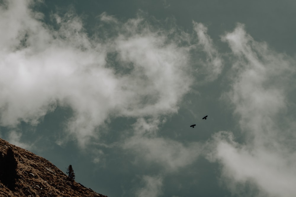 a couple of birds flying through a cloudy sky