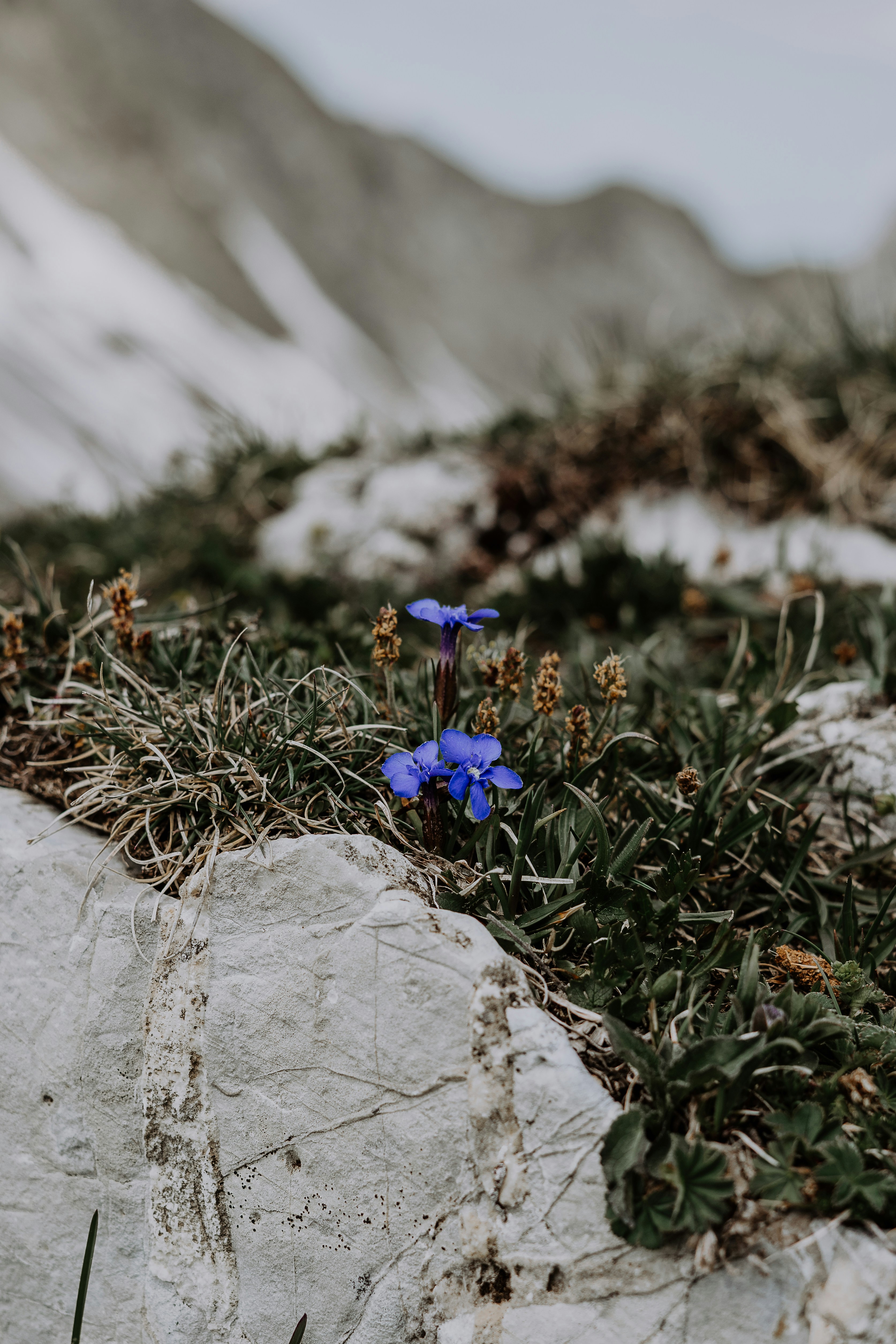 Photo by larabaeri