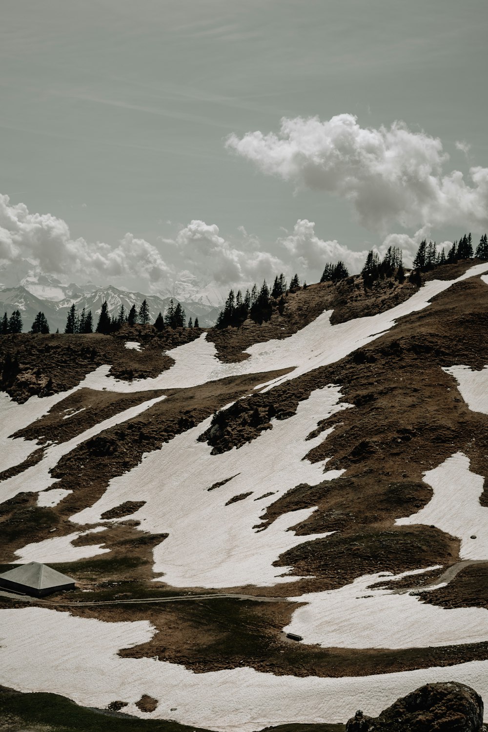 a mountain covered in snow and trees under a cloudy sky