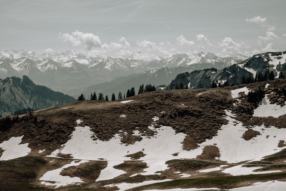 a snow covered mountain with trees on top of it