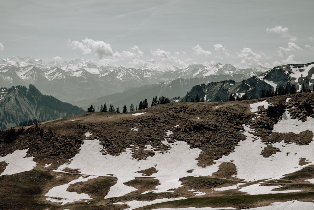 a snow covered mountain with trees on top of it