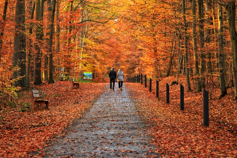 two people walking down a path in the woods