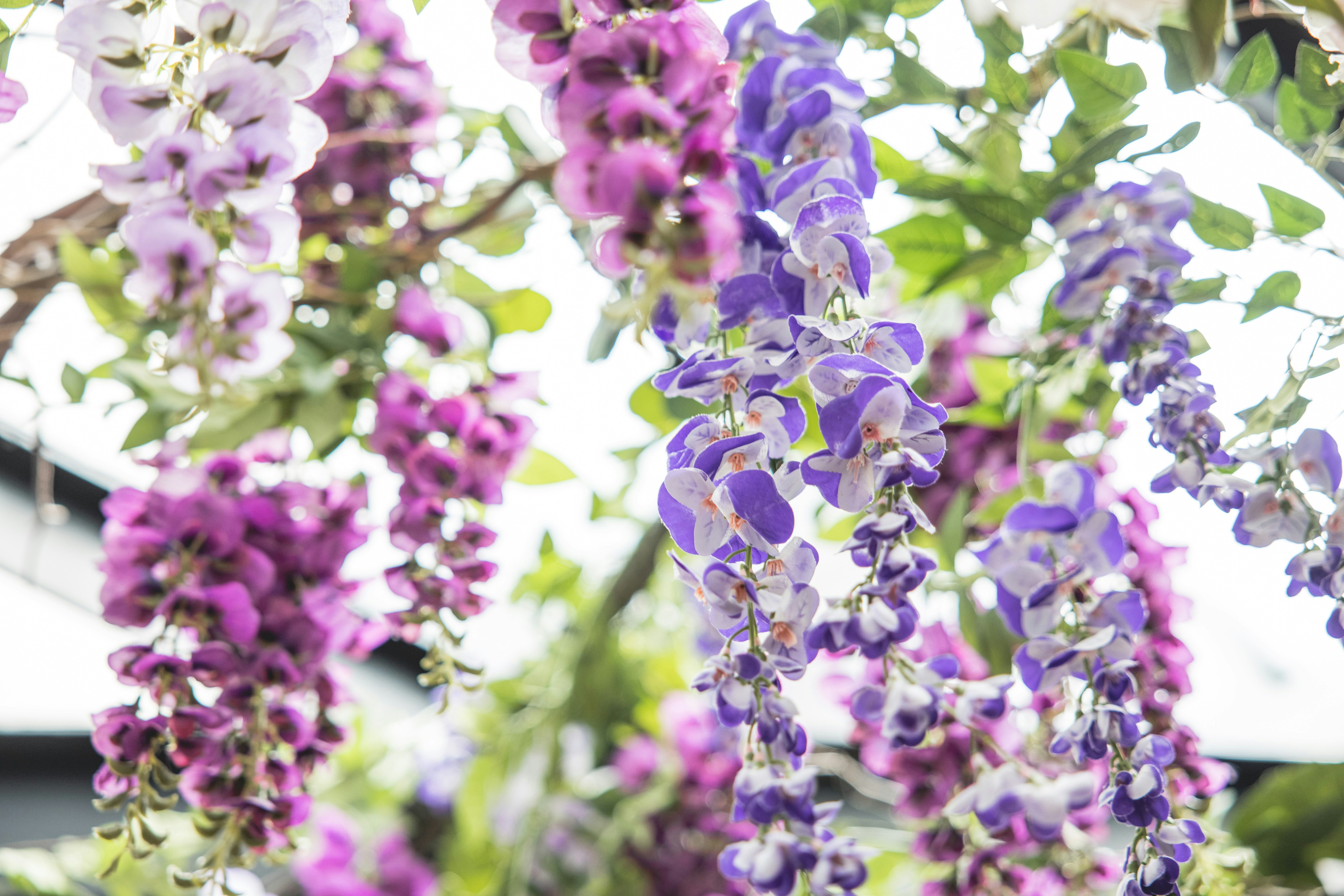 Photo by lukethorntonofficial