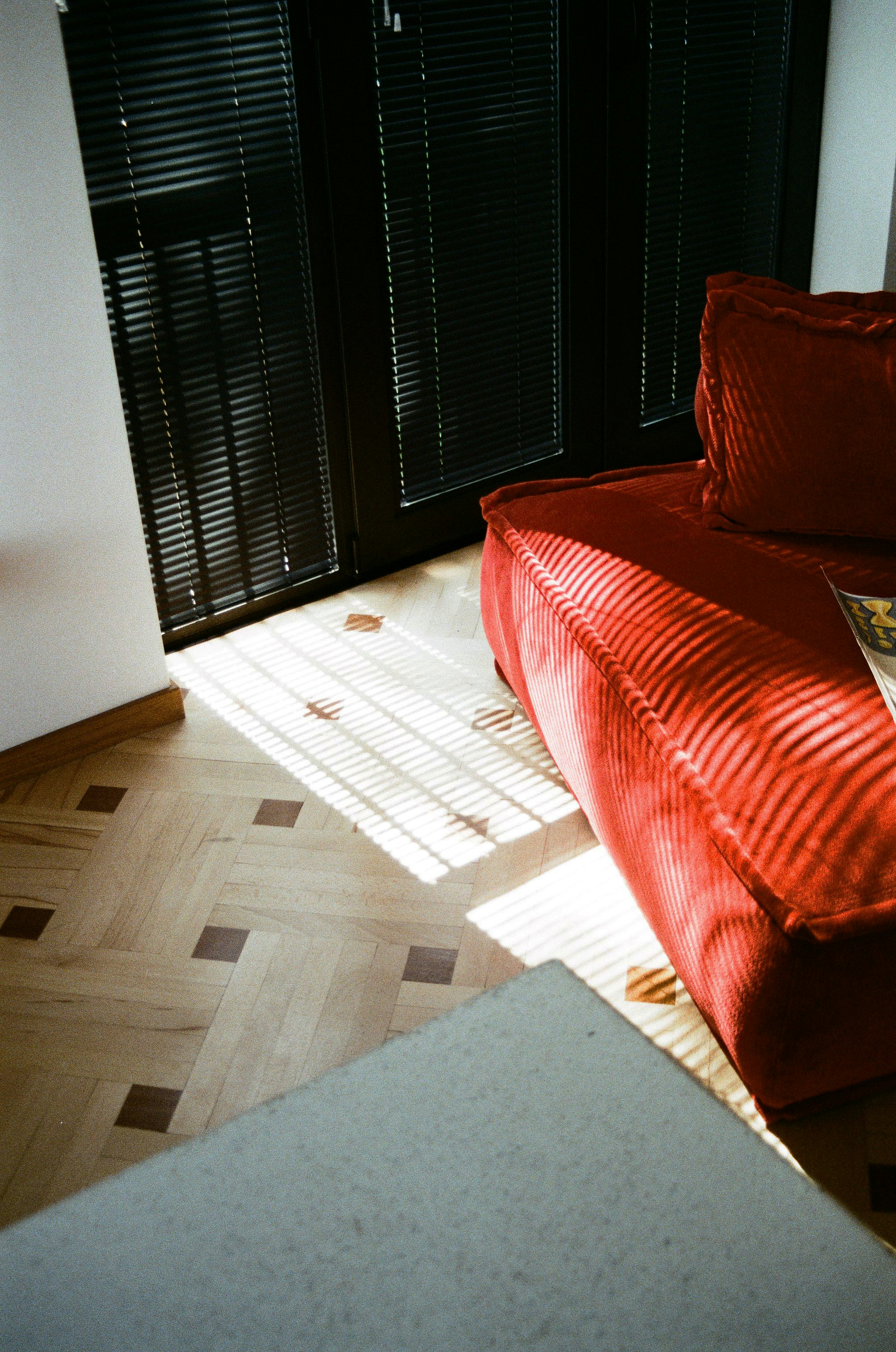 Photo by babikacharava