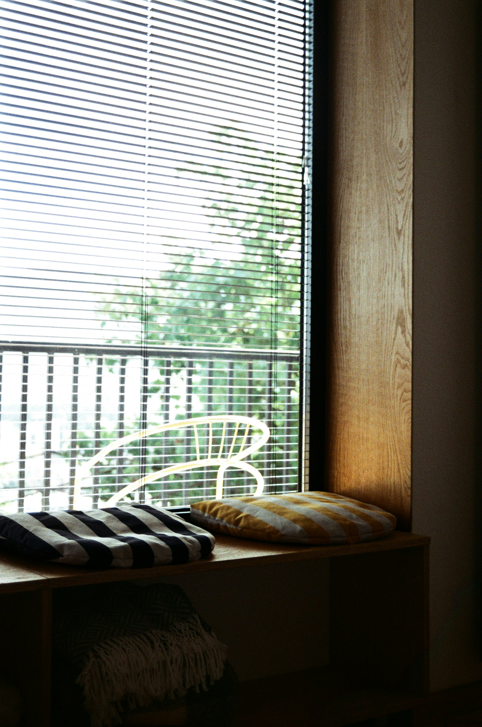 Photo by babikacharava