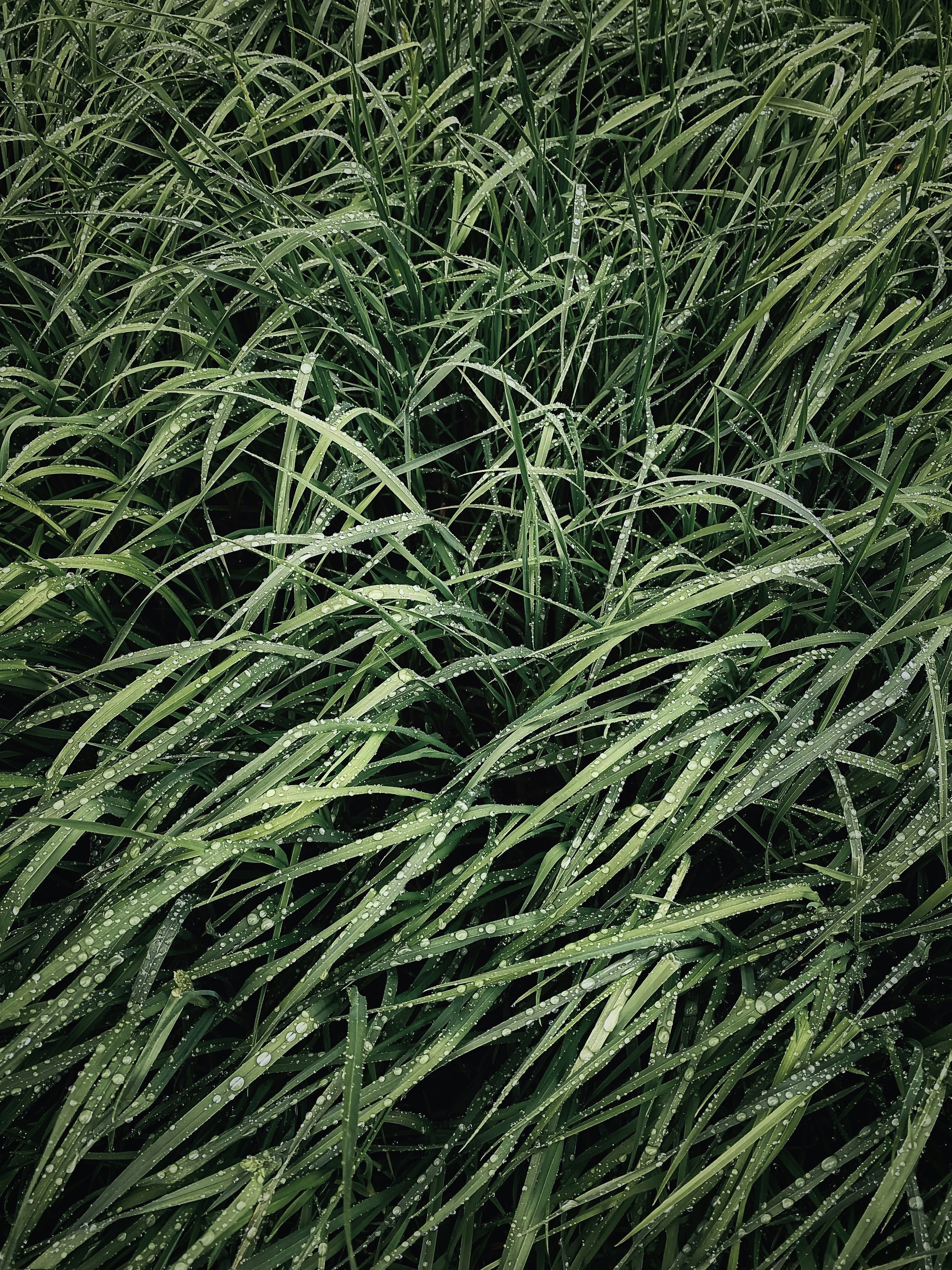 Photo by eugene_golovesov