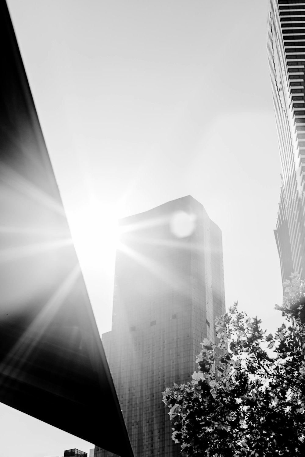 a black and white photo of the sun shining through buildings