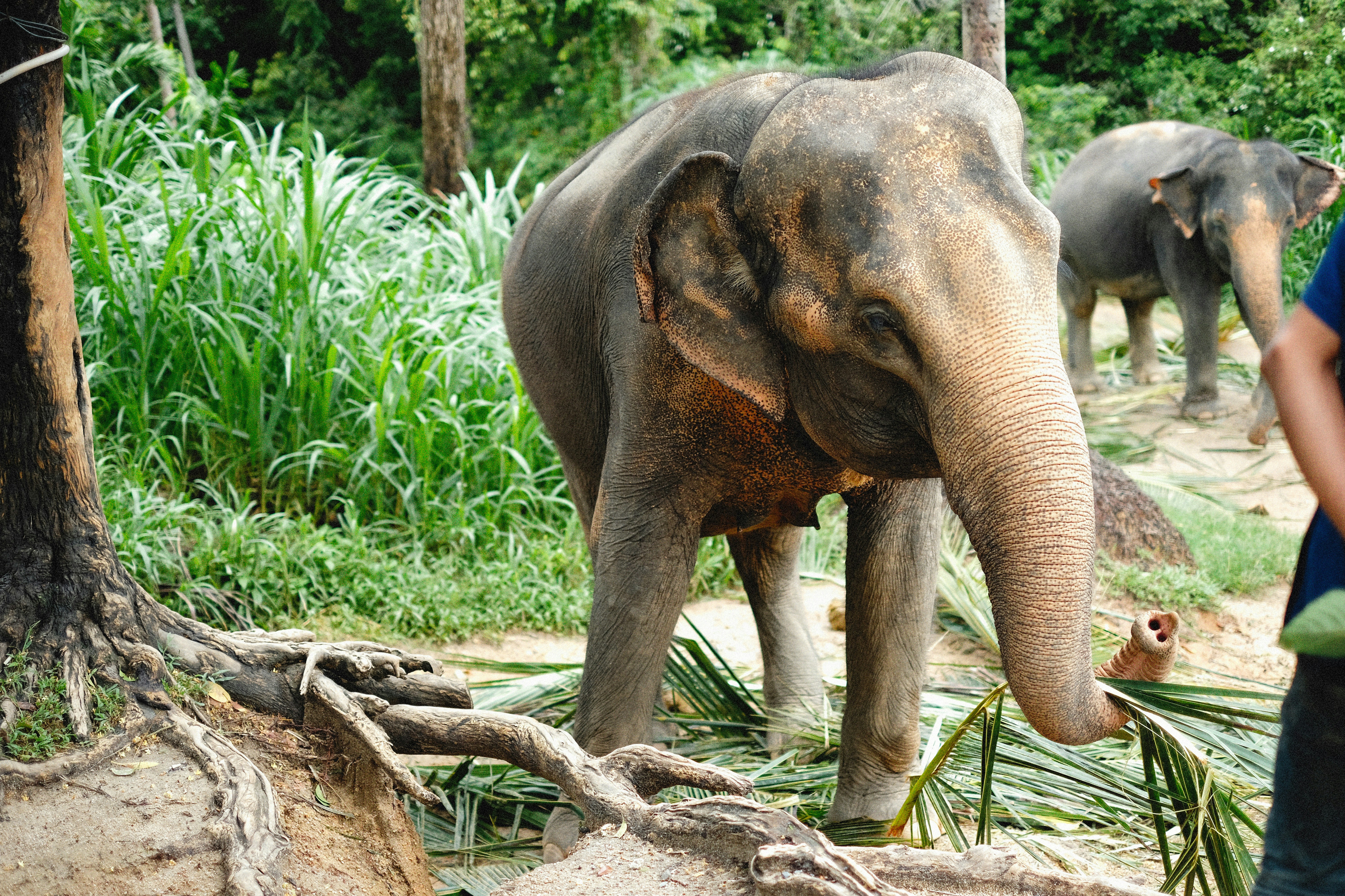 Photo by alexeydemidov