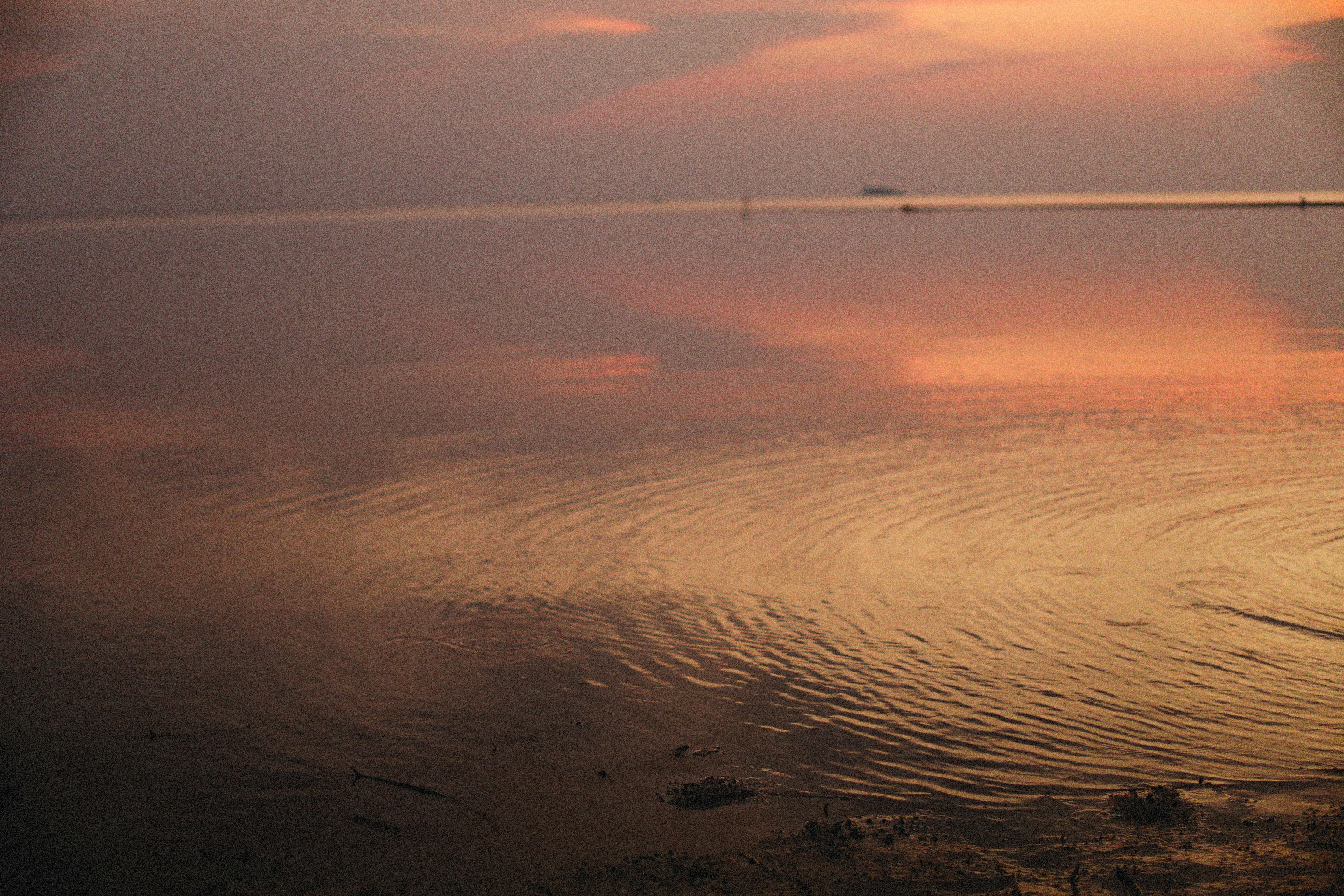 Photo by alexeydemidov